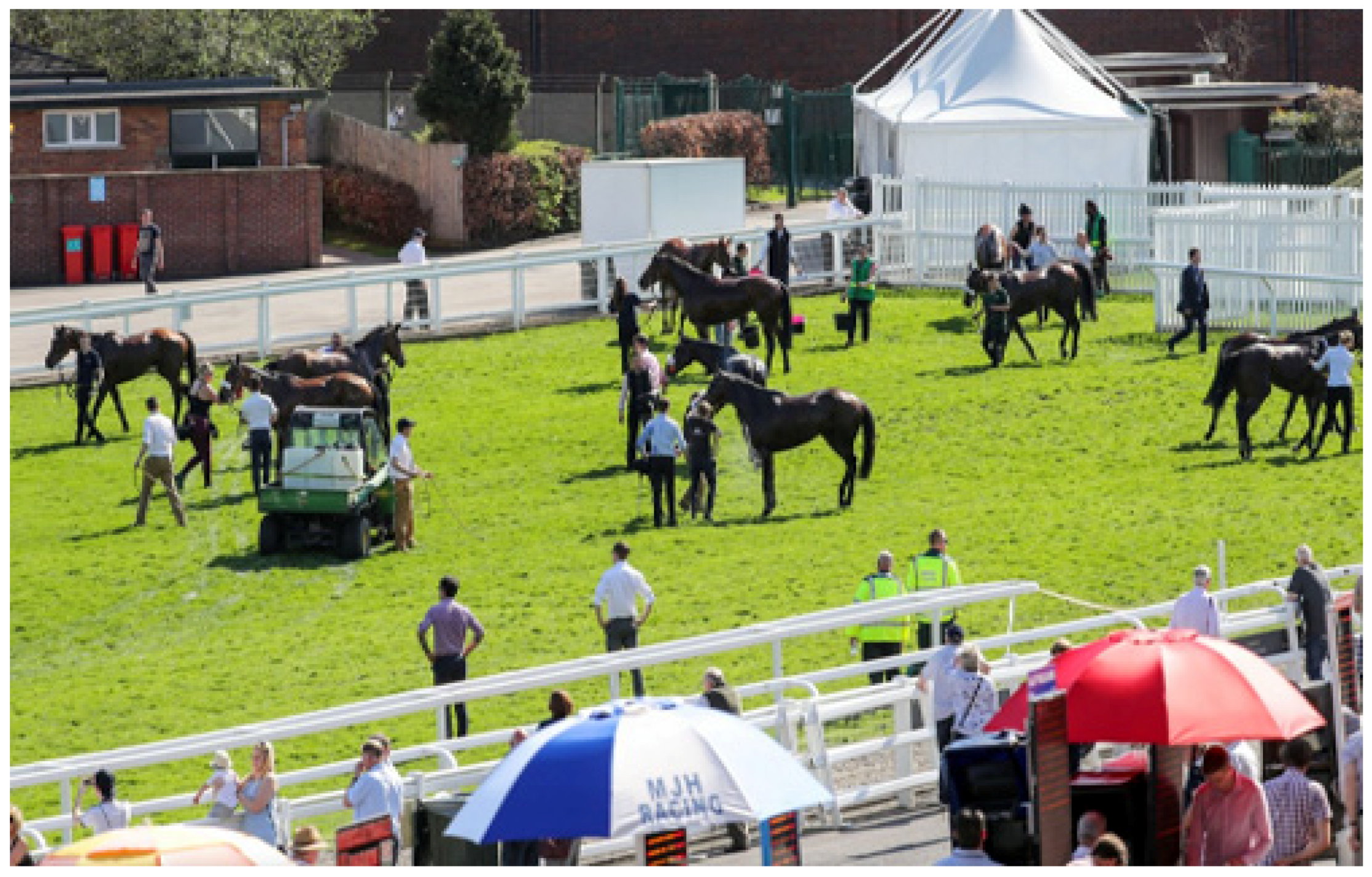 Animals 13 00610 g023