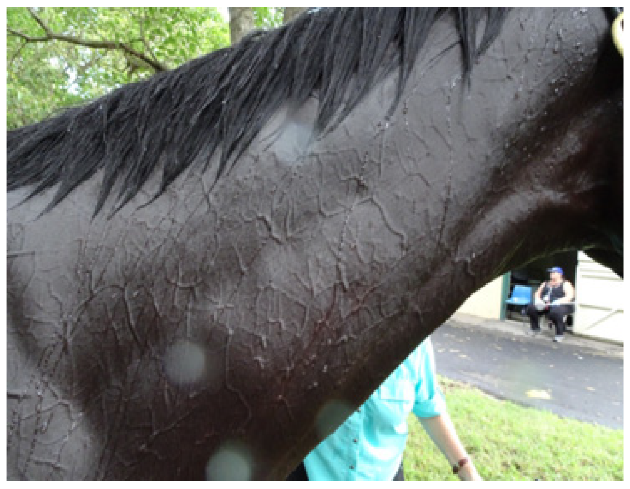 Animals 13 00610 g024