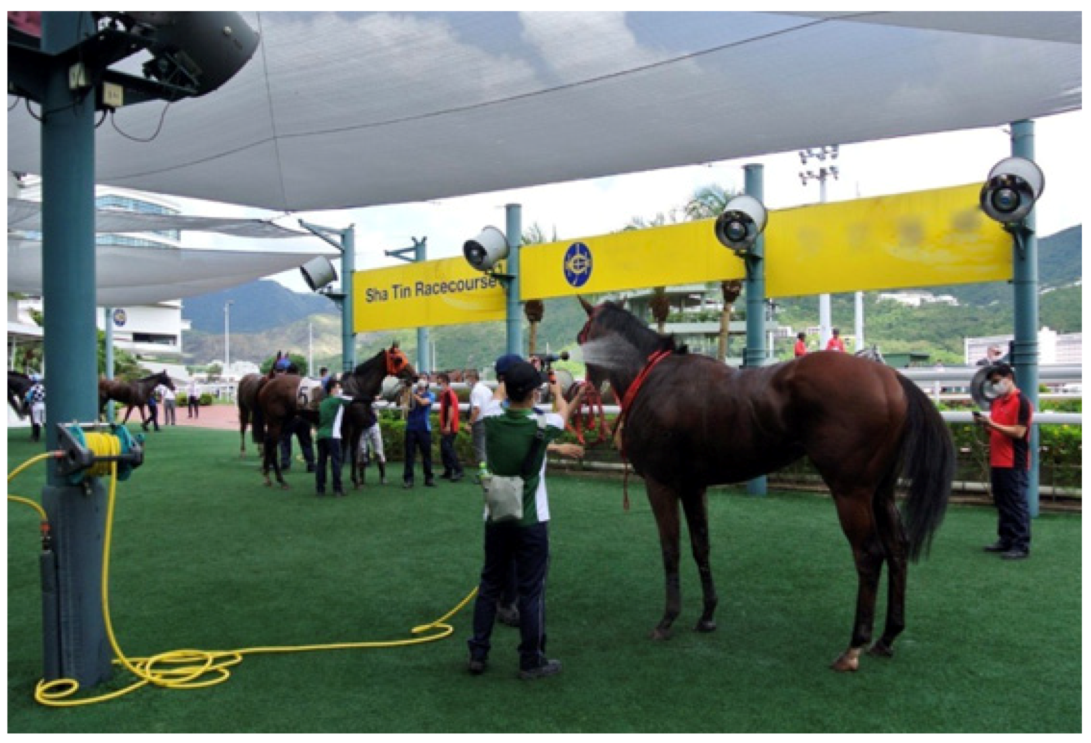 Animals 13 00610 g026