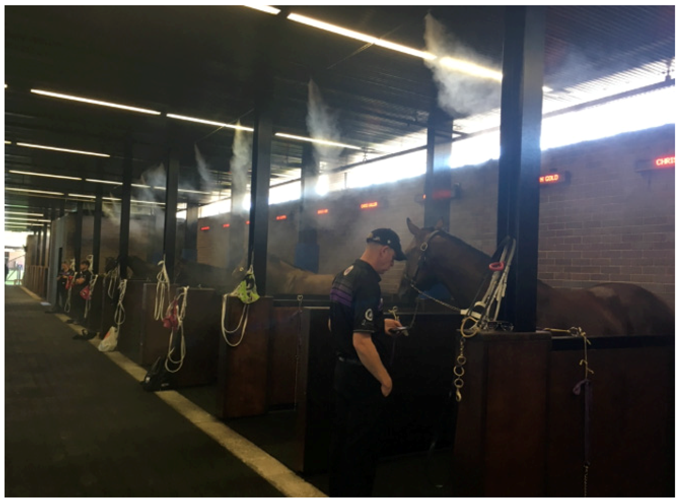 Animals 13 00610 g027