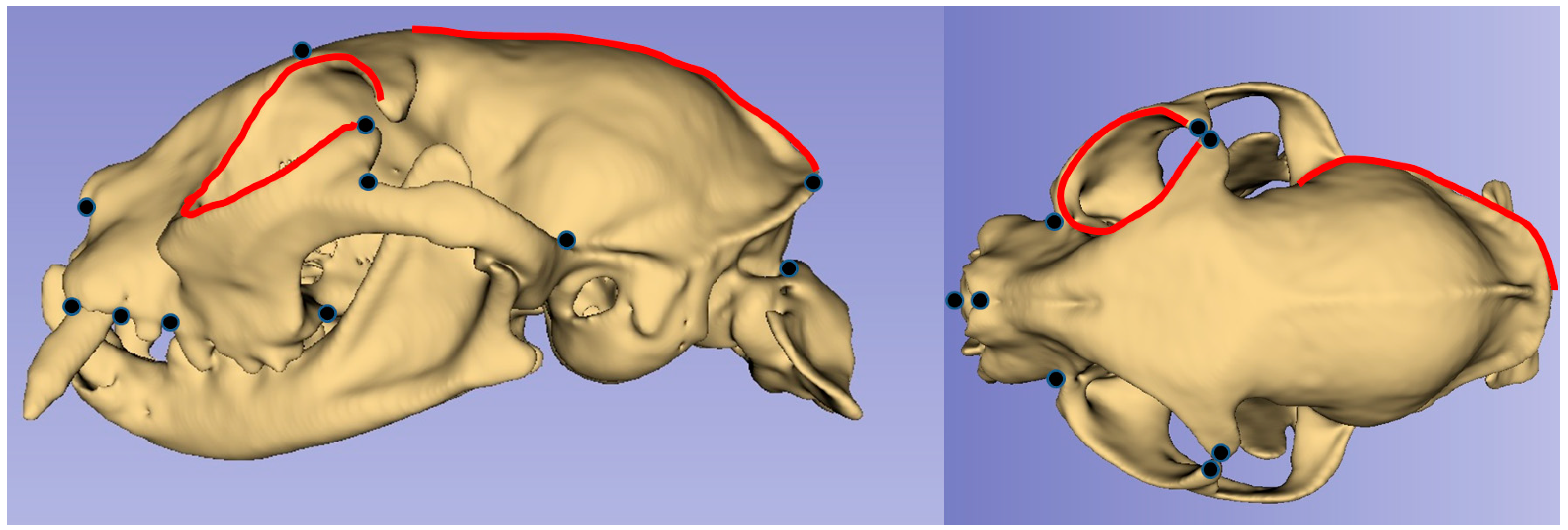 Animals 13 00614 g001
