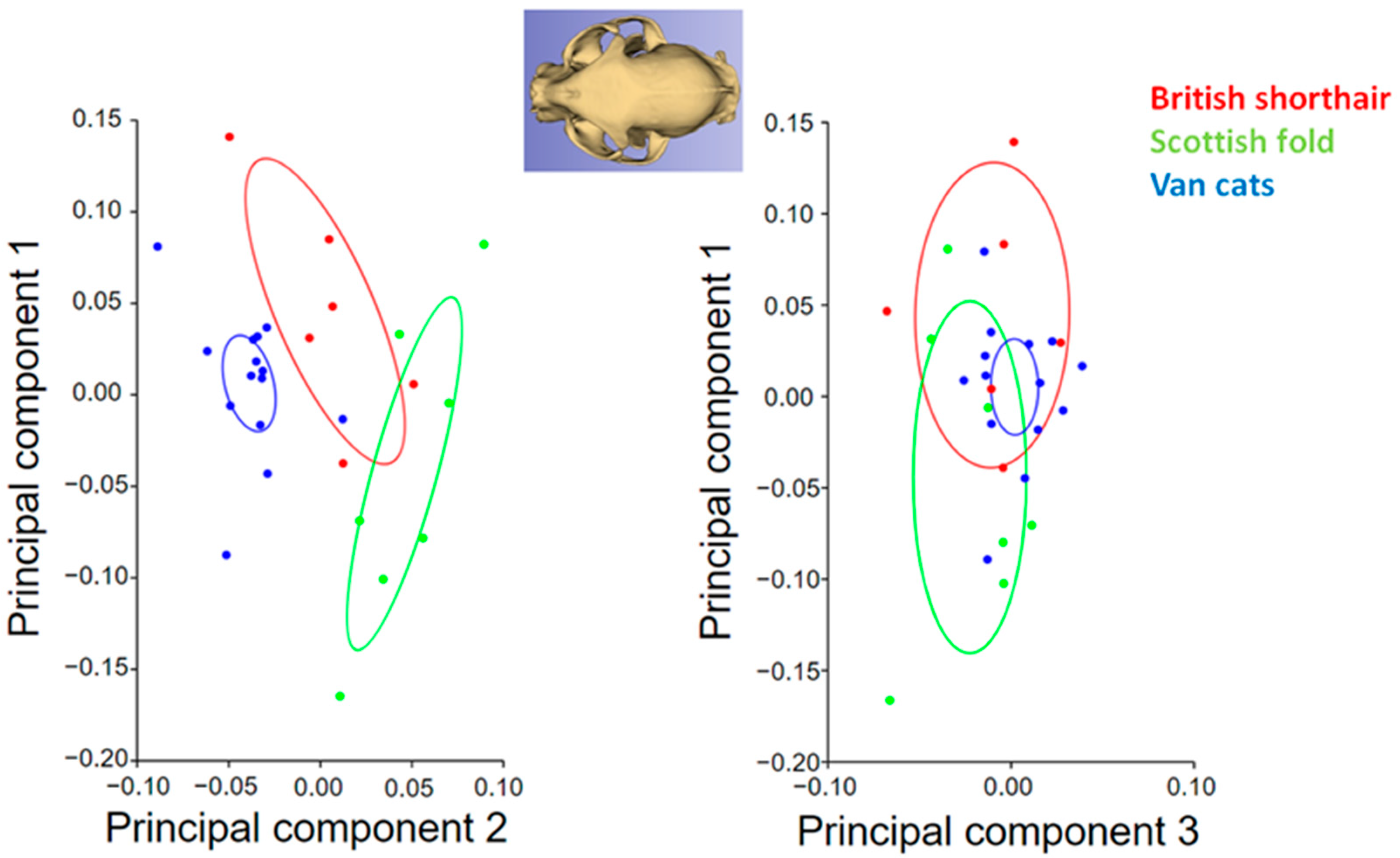 Animals 13 00614 g004