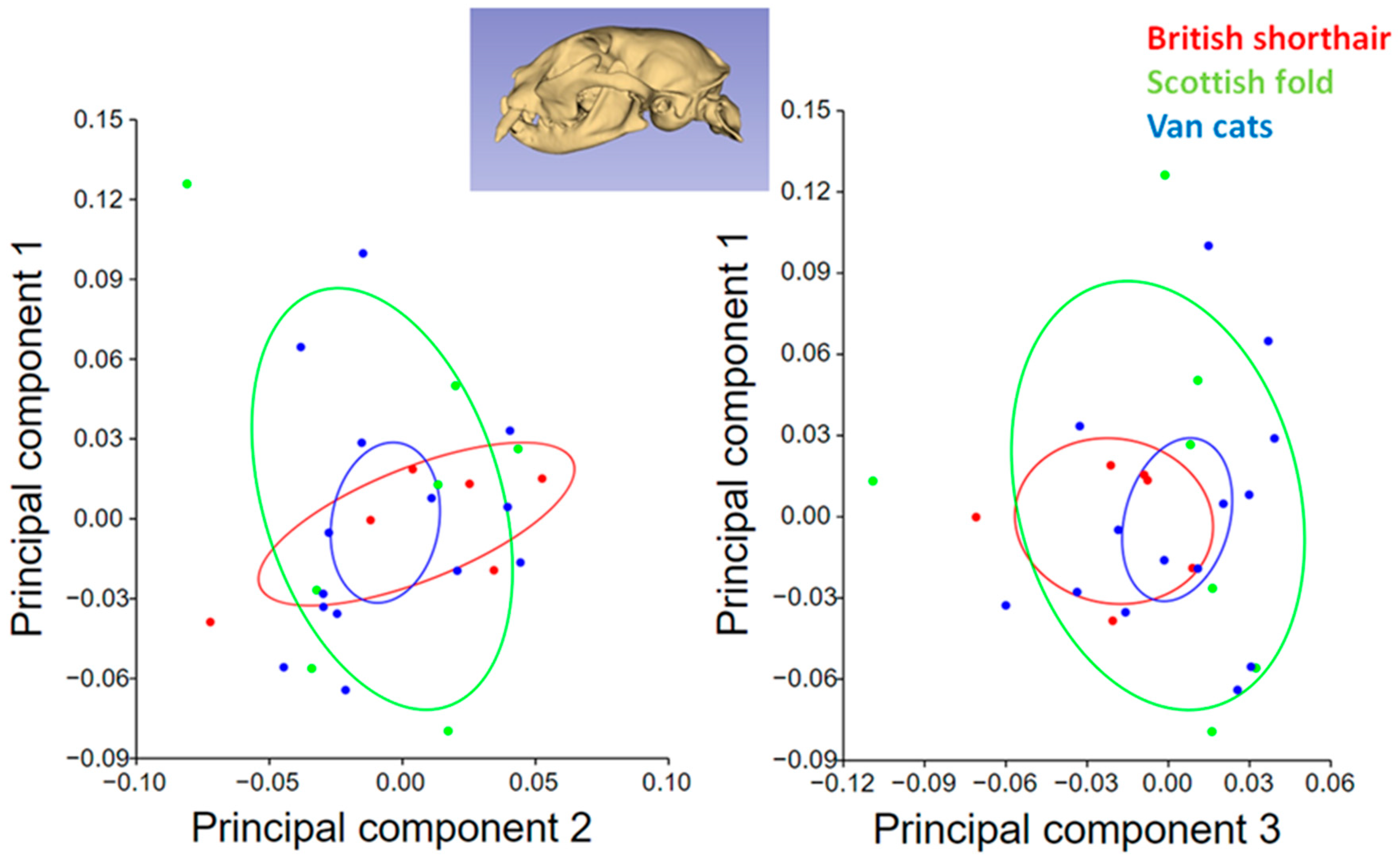 Animals 13 00614 g005