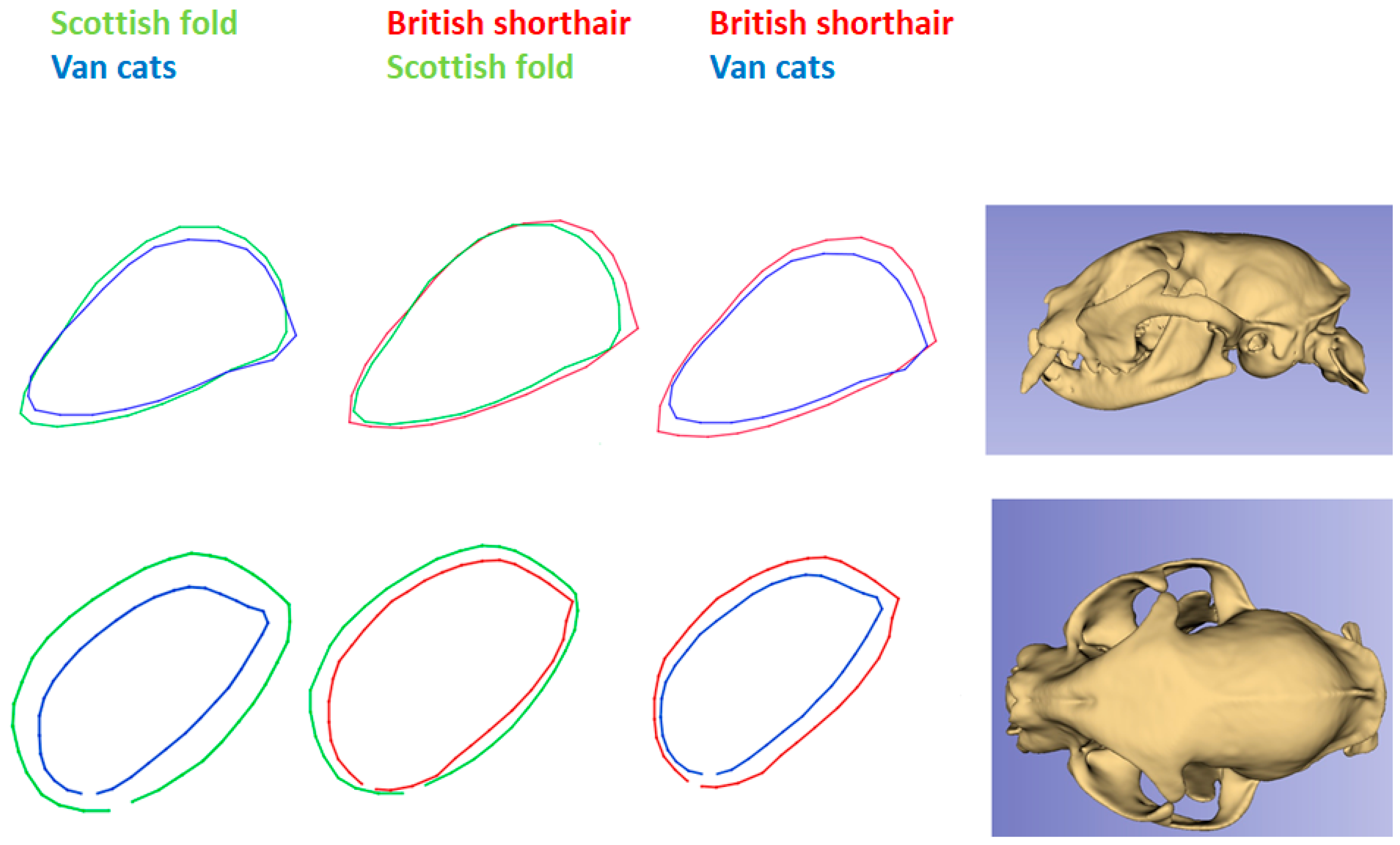 Animals 13 00614 g007