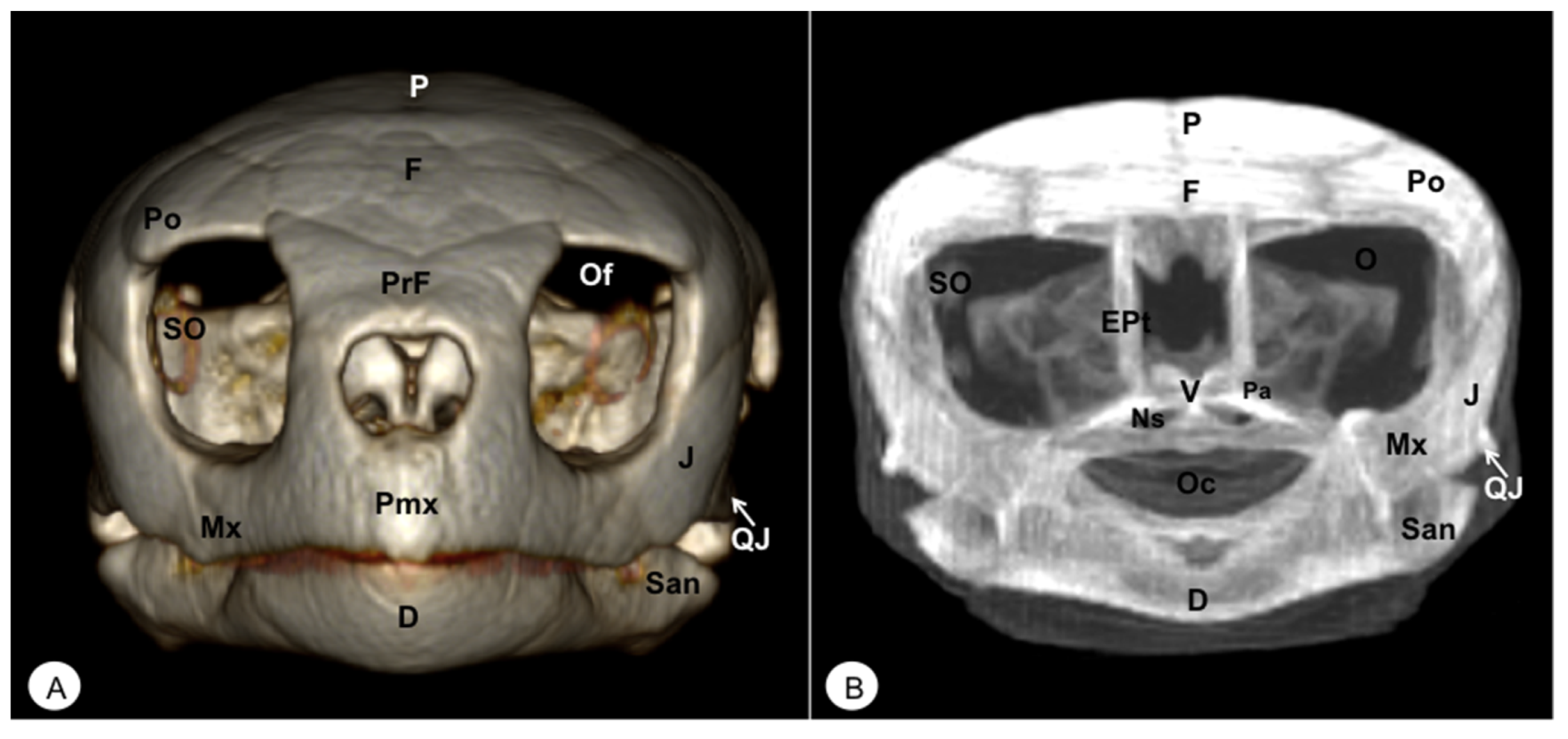 Animals 13 00621 g002