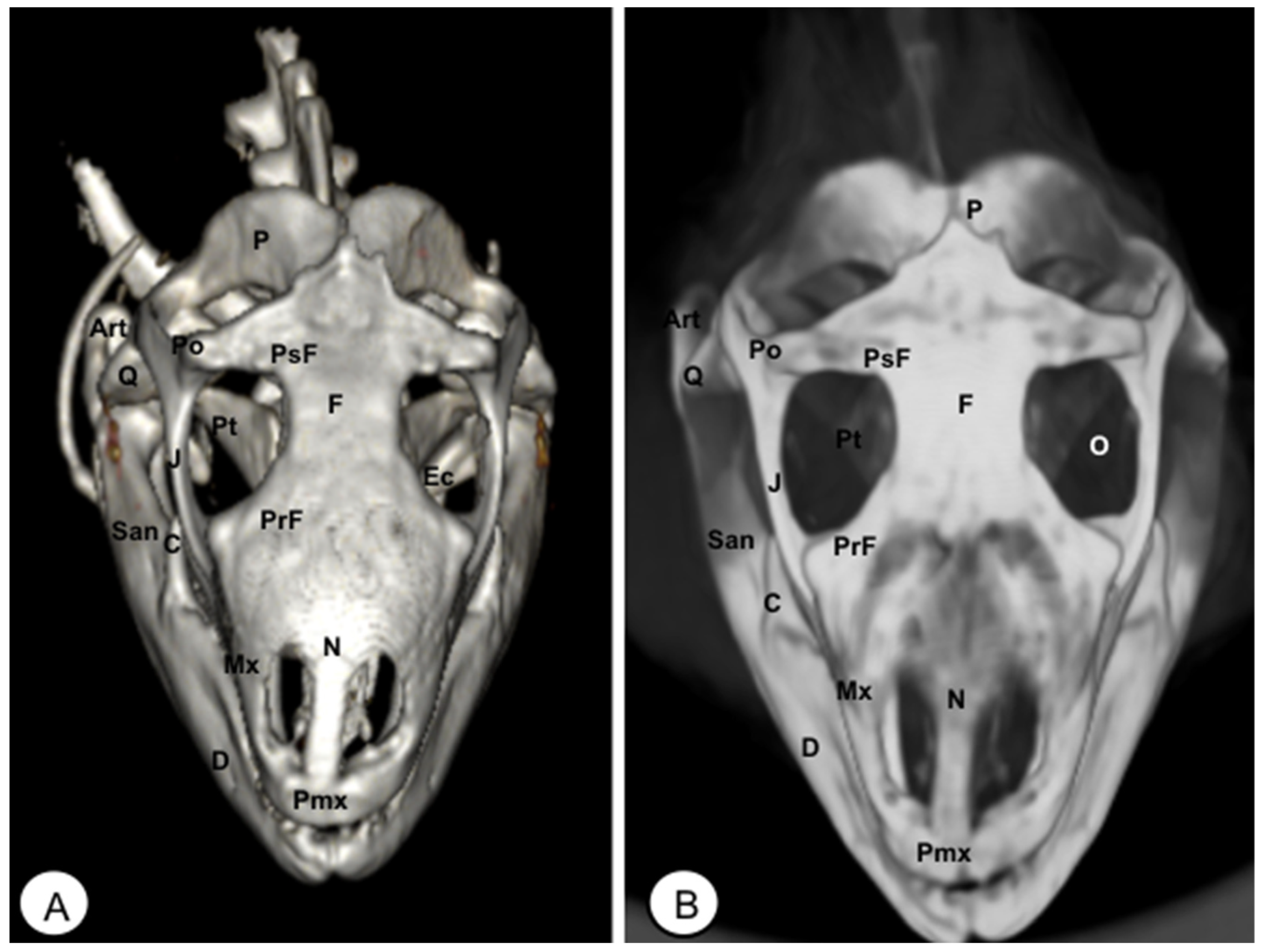 Animals 13 00621 g007