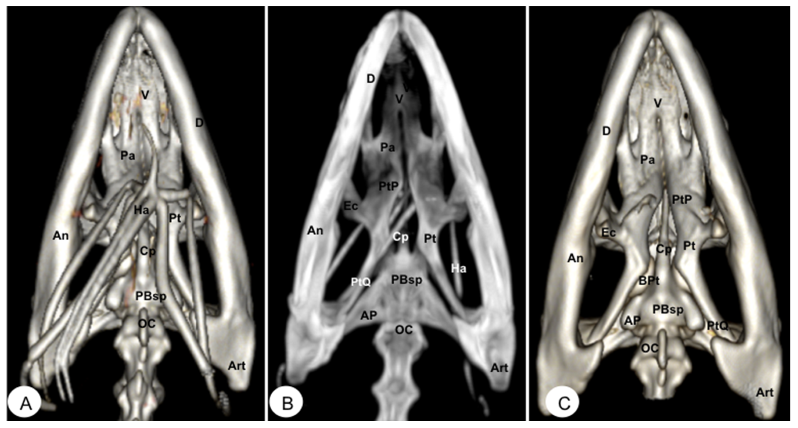 Animals 13 00621 g009