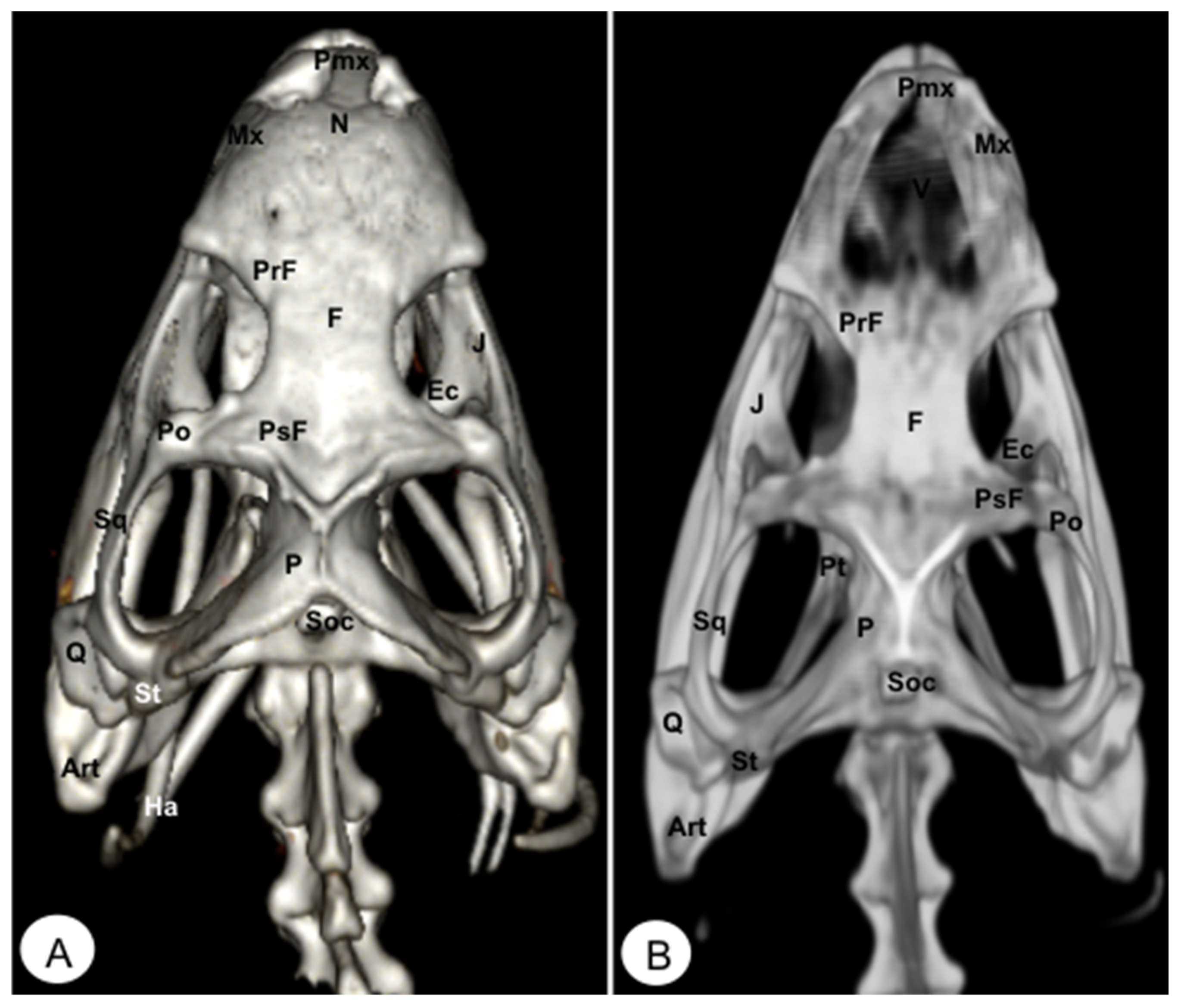 Animals 13 00621 g010