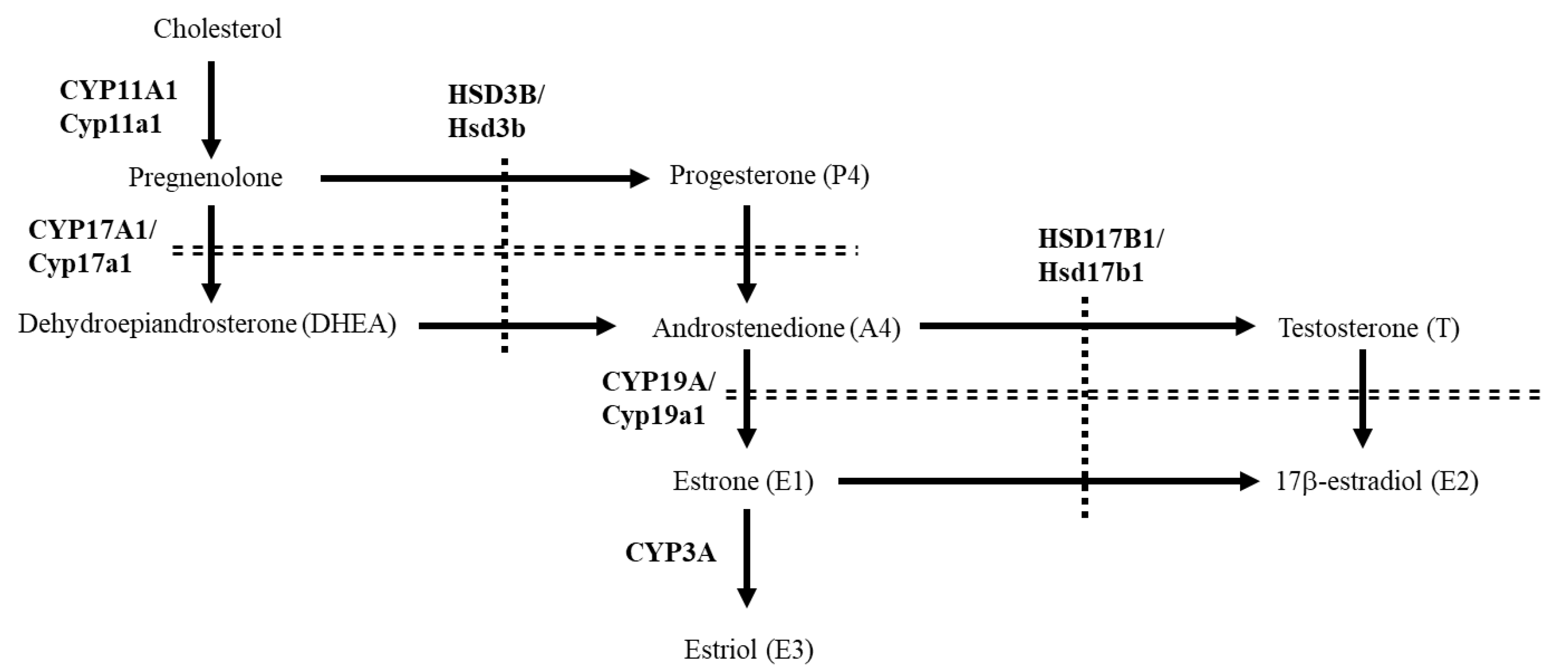 Animals 13 00622 g001