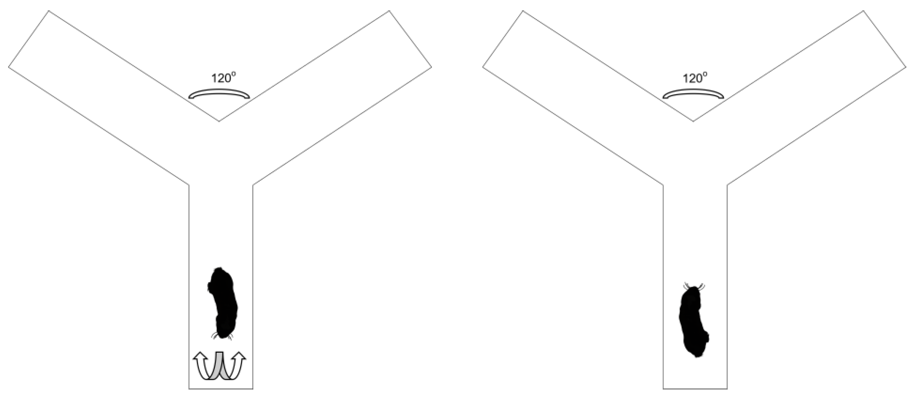 Animals 13 00627 g001