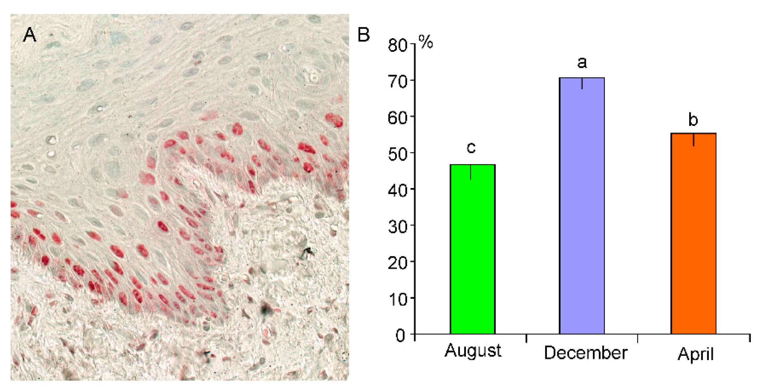Animals 13 00635 g004