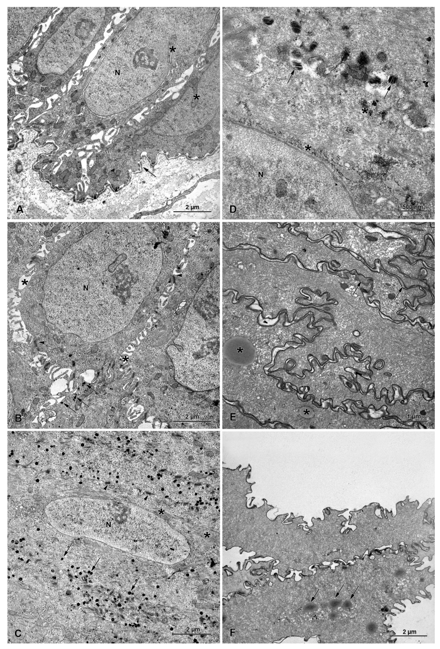 Animals 13 00635 g005