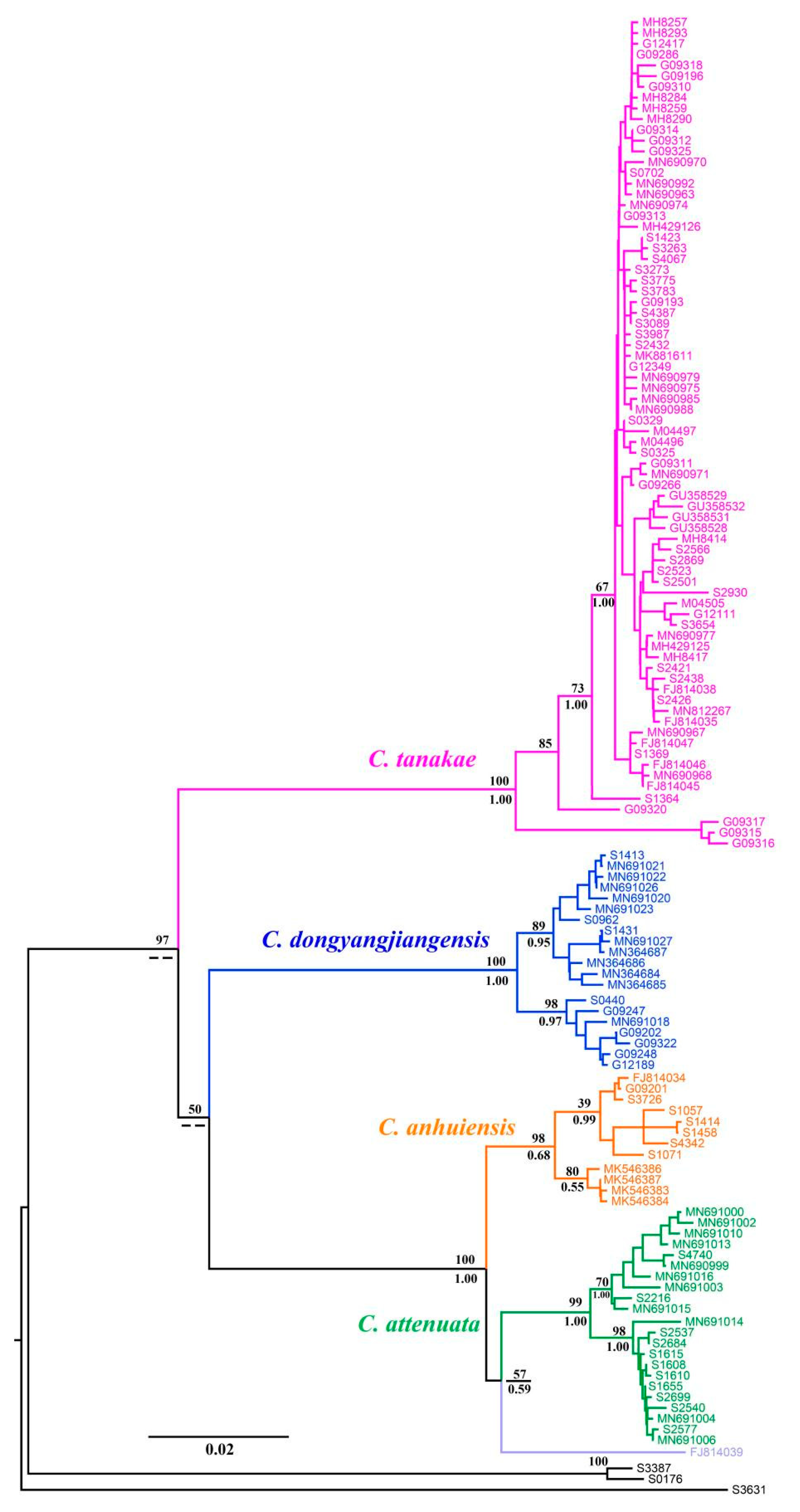 Animals 13 00643 g002
