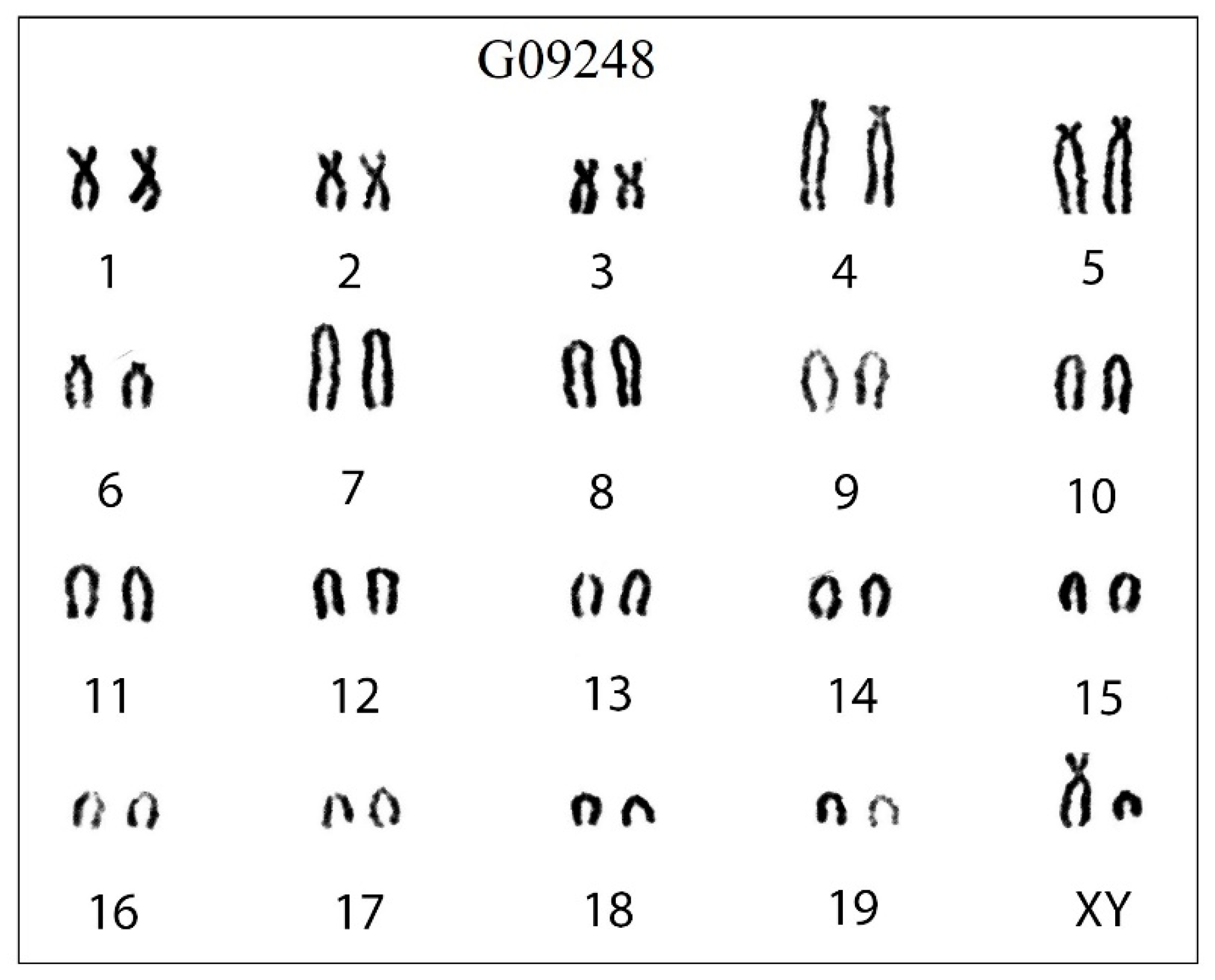 Animals 13 00643 g003