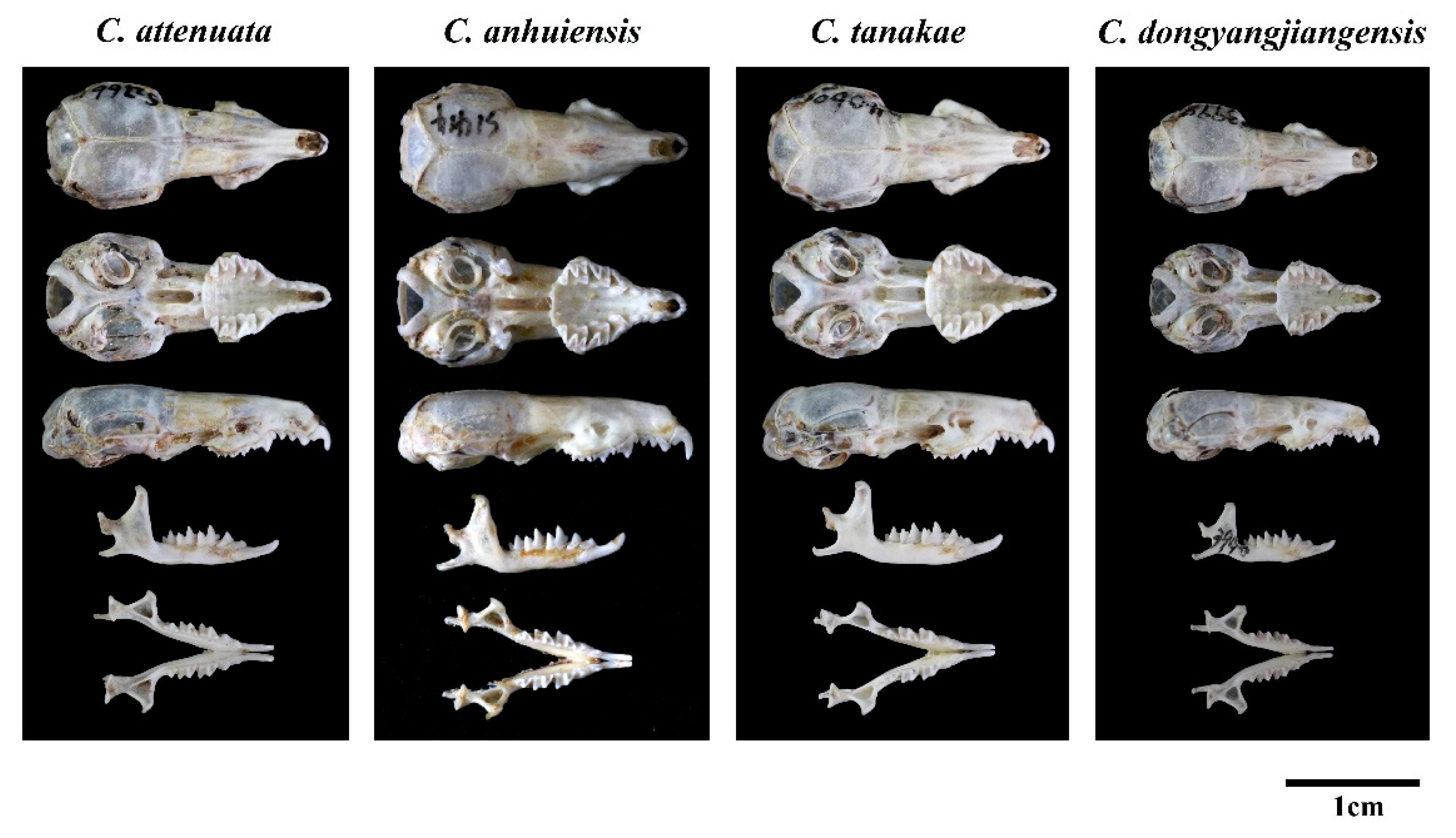 Animals 13 00643 g005