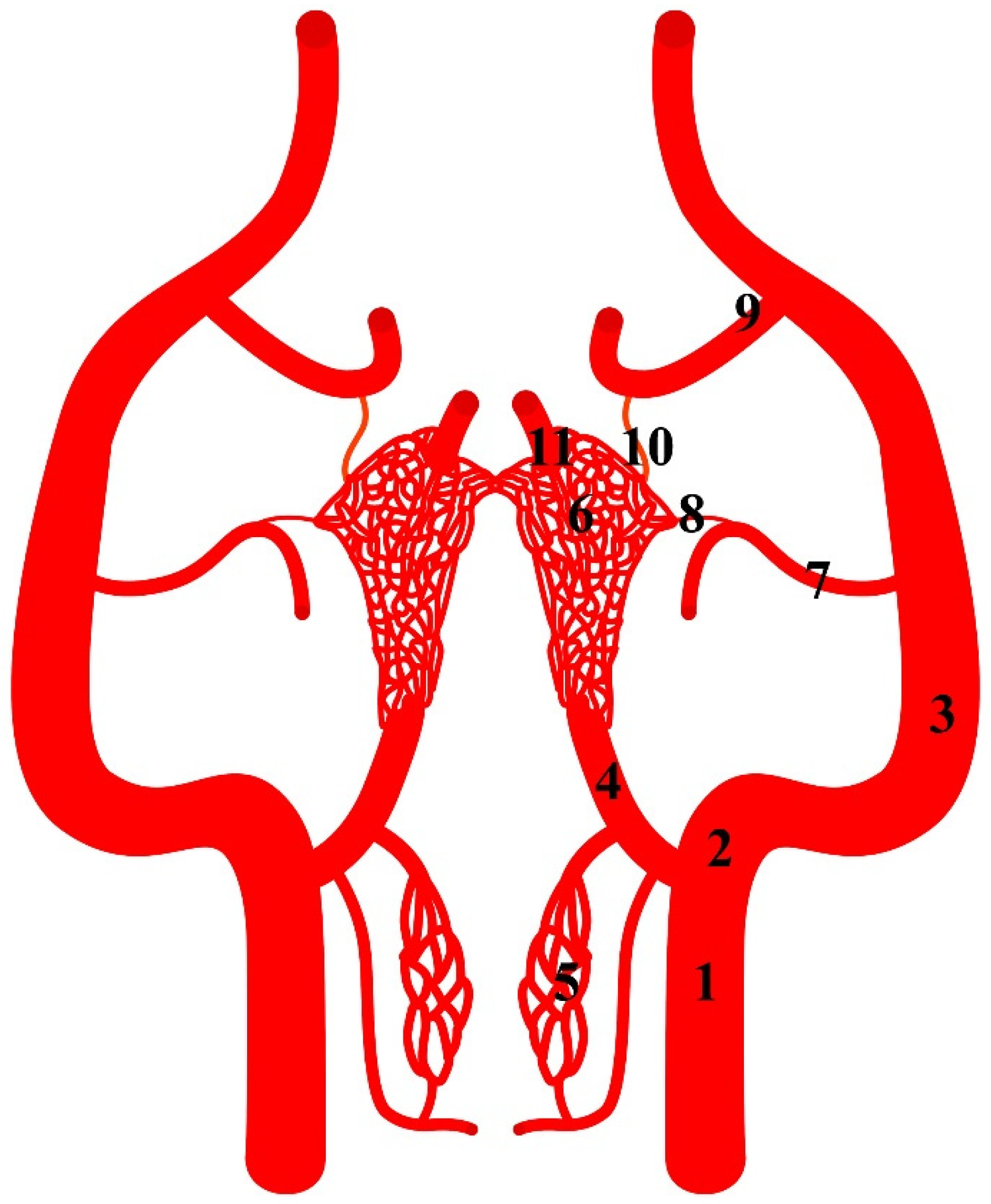 Animals 13 00644 g001