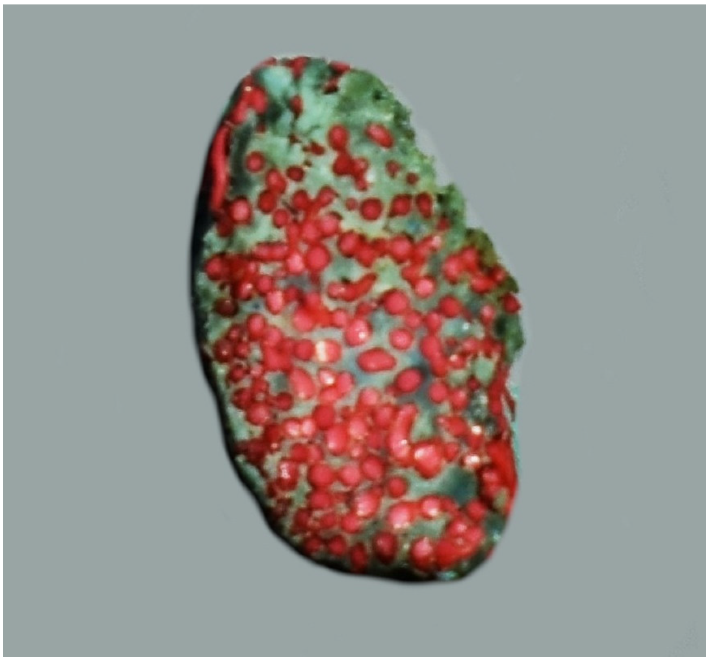 Animals 13 00644 g003