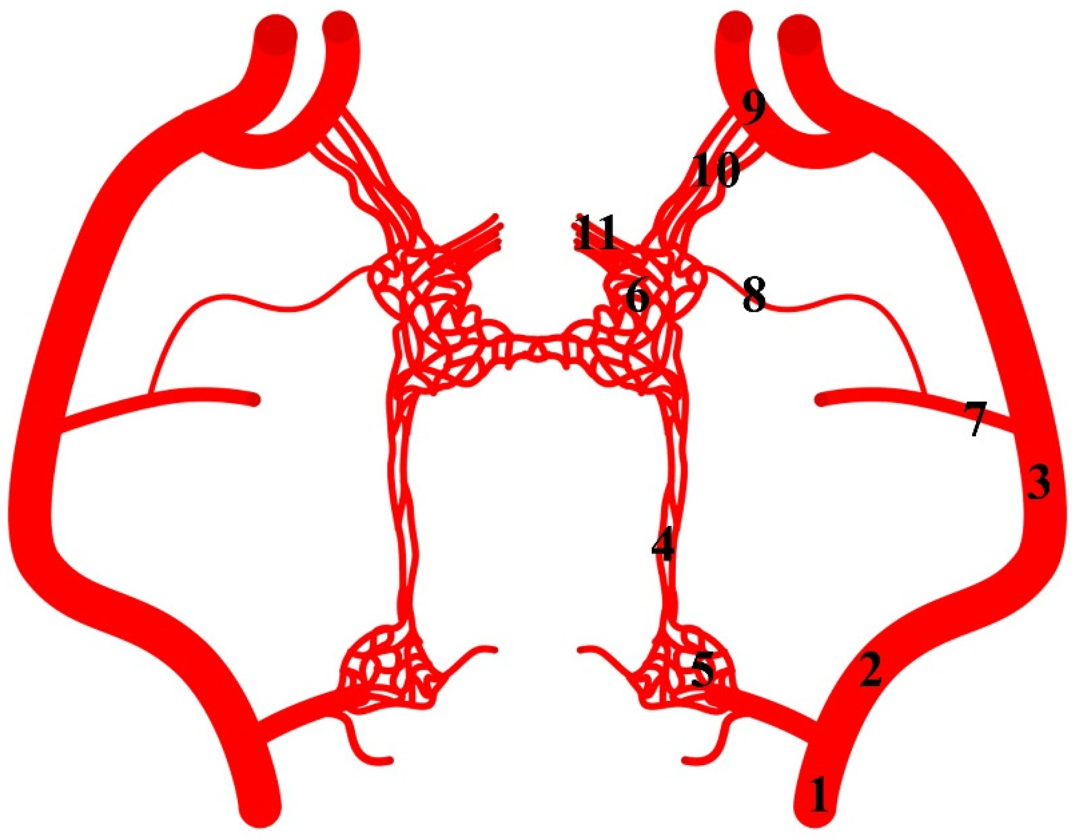 Animals 13 00644 g008