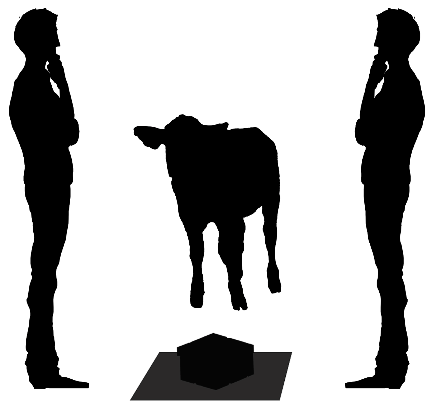 Animals 13 00646 g001