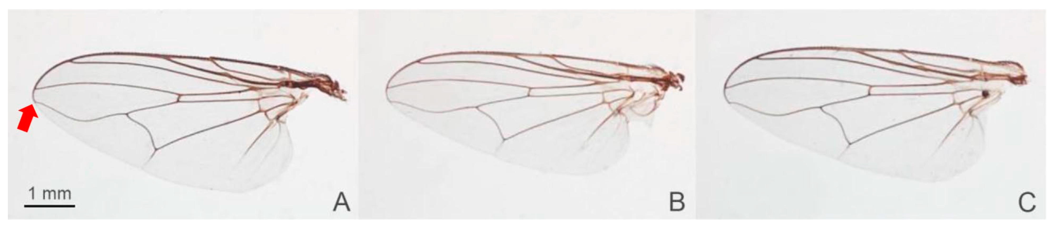 Animals 13 00647 g003