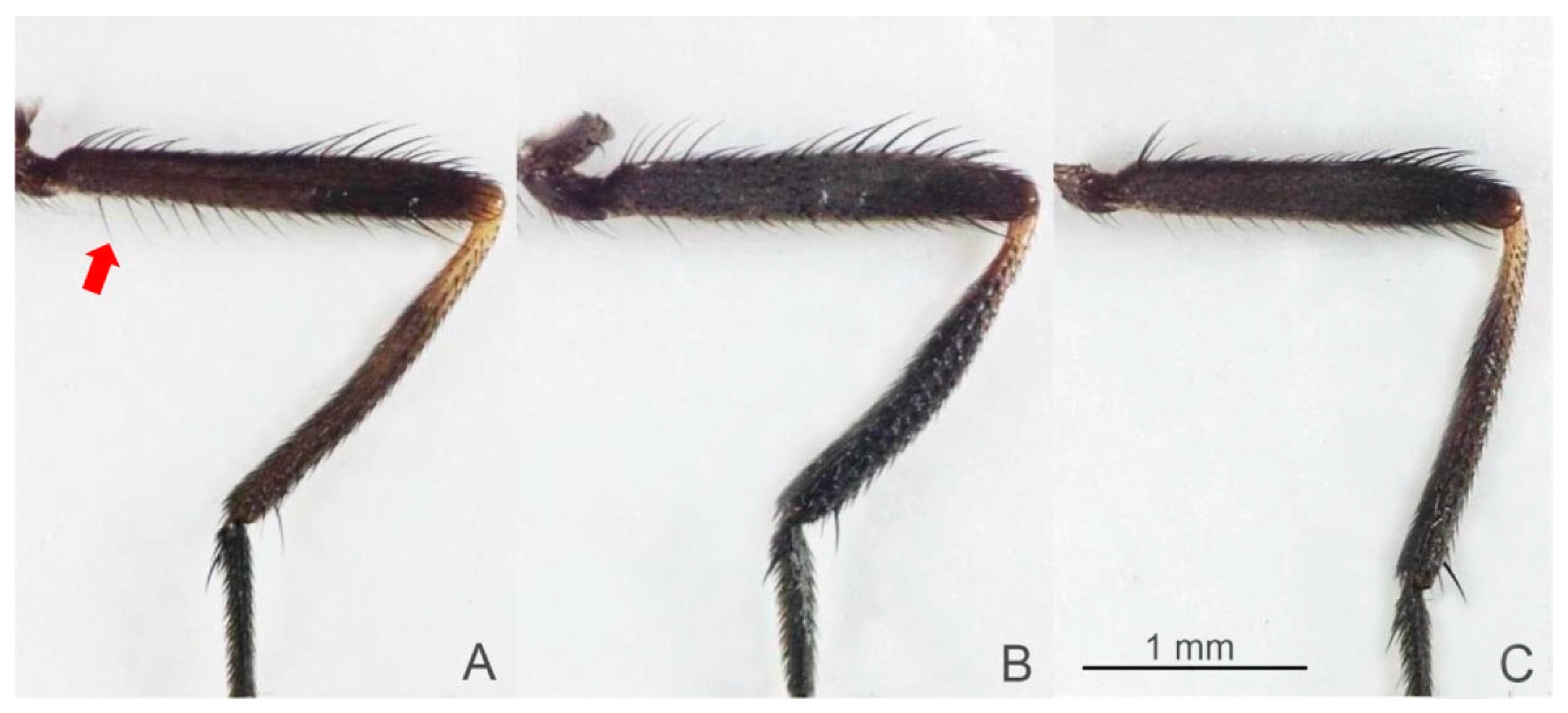 Animals 13 00647 g004