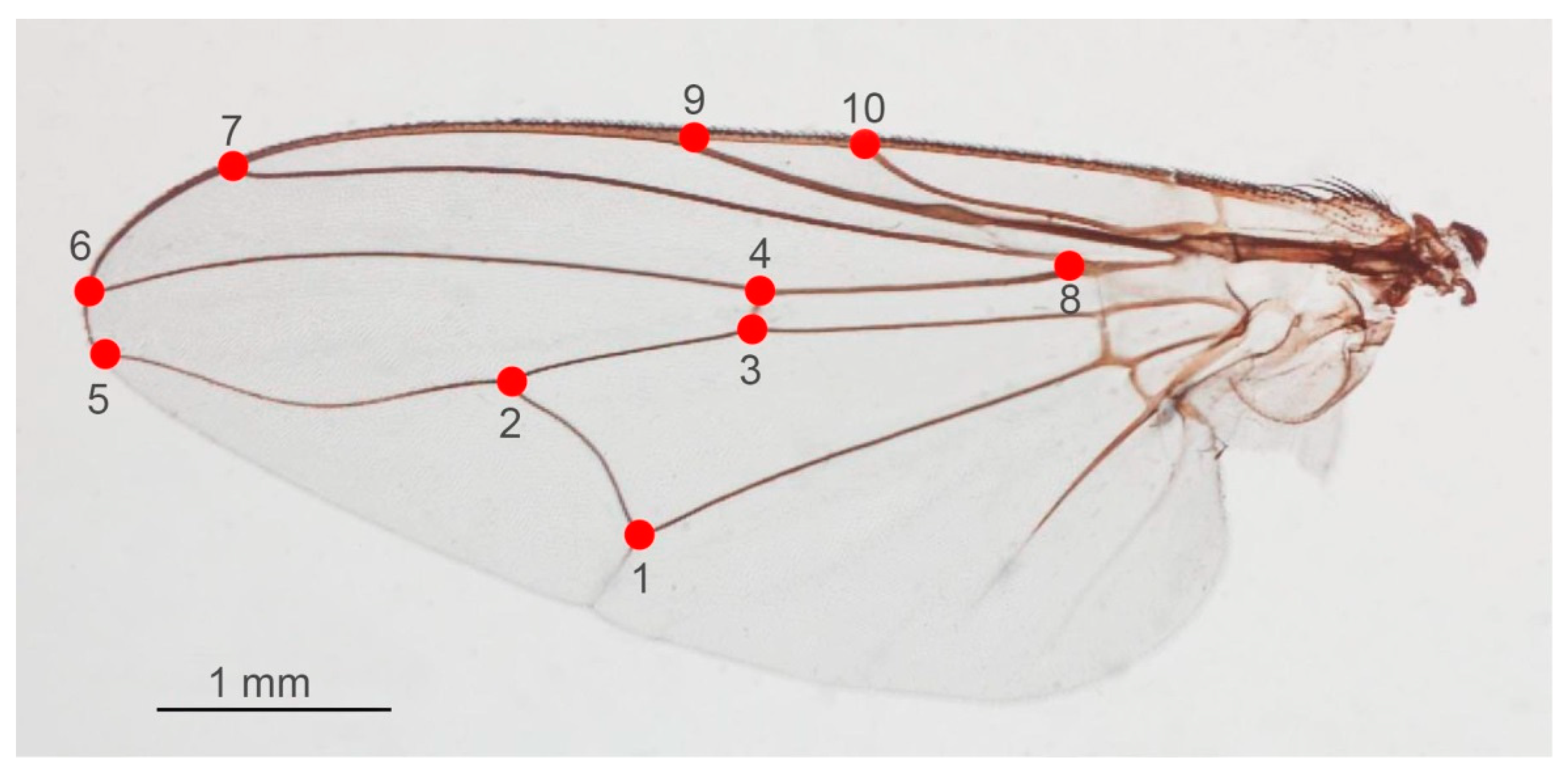 Animals 13 00647 g006