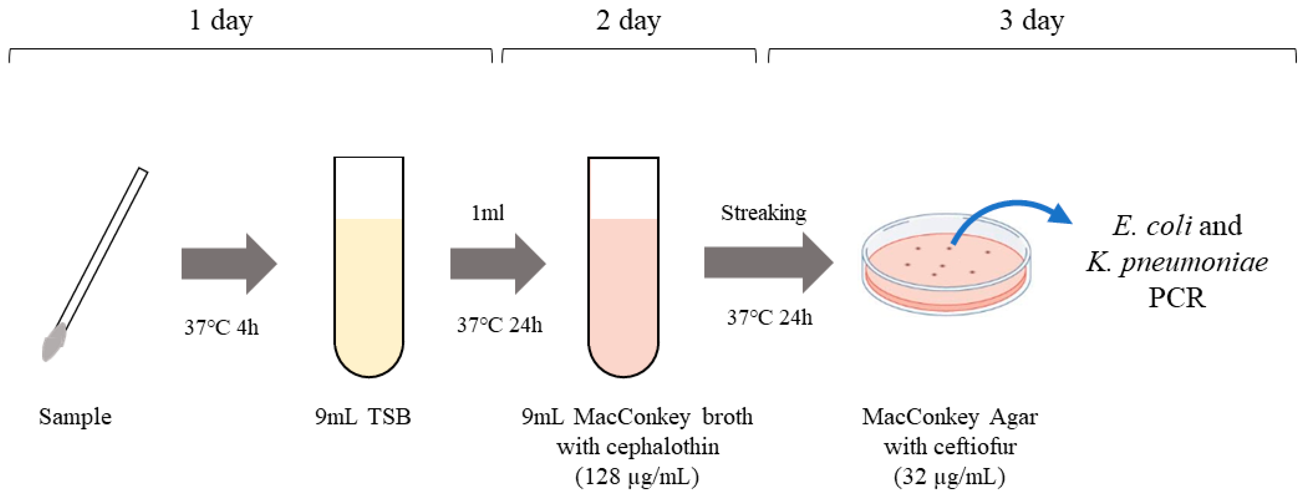 Animals 13 00649 g001