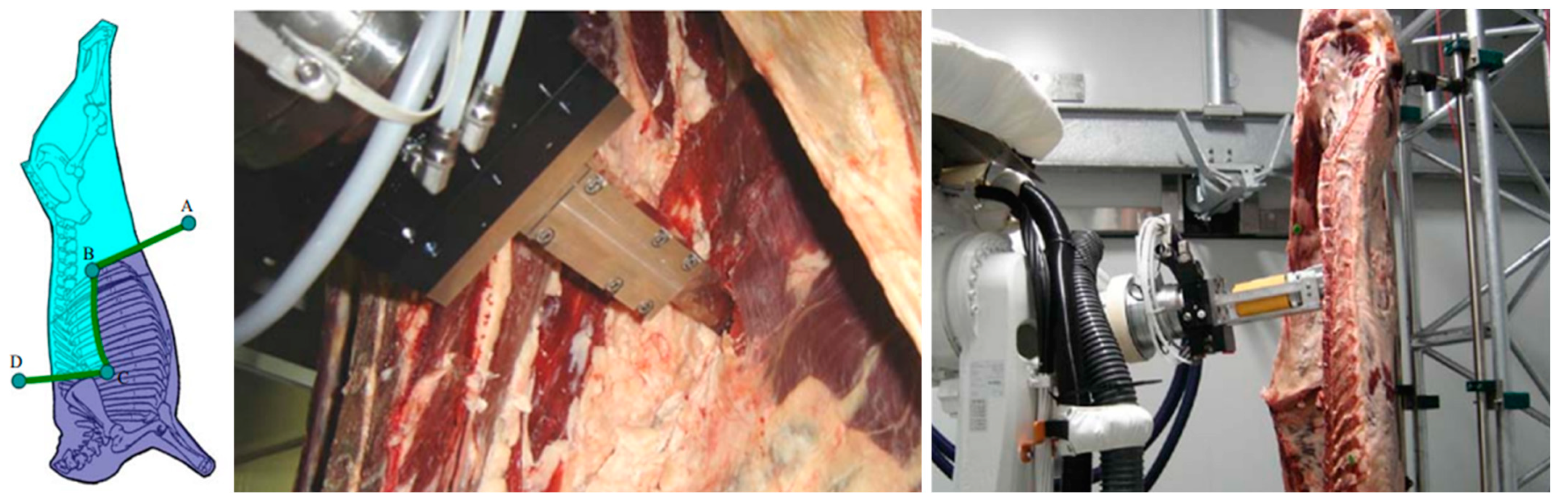 Animals 13 00651 g004