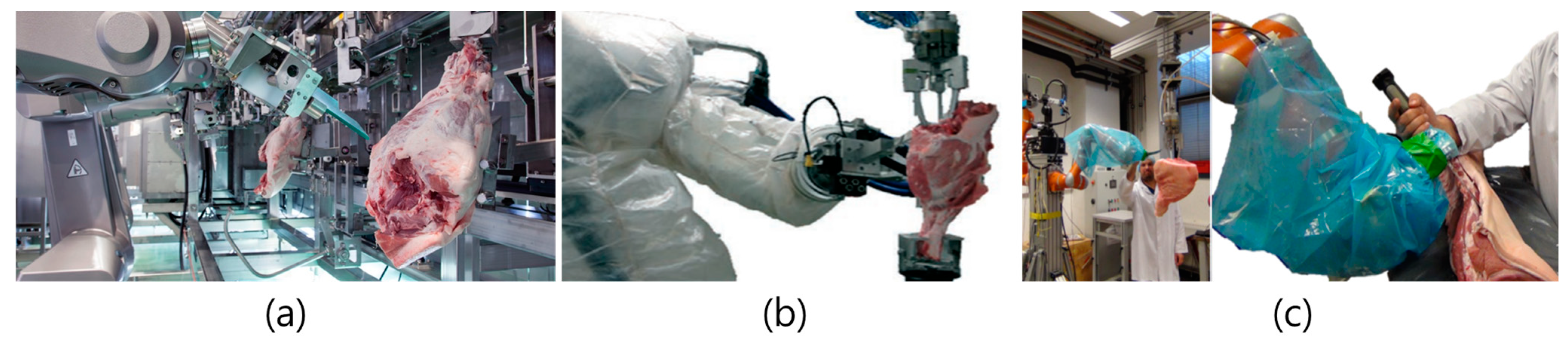 Animals 13 00651 g005