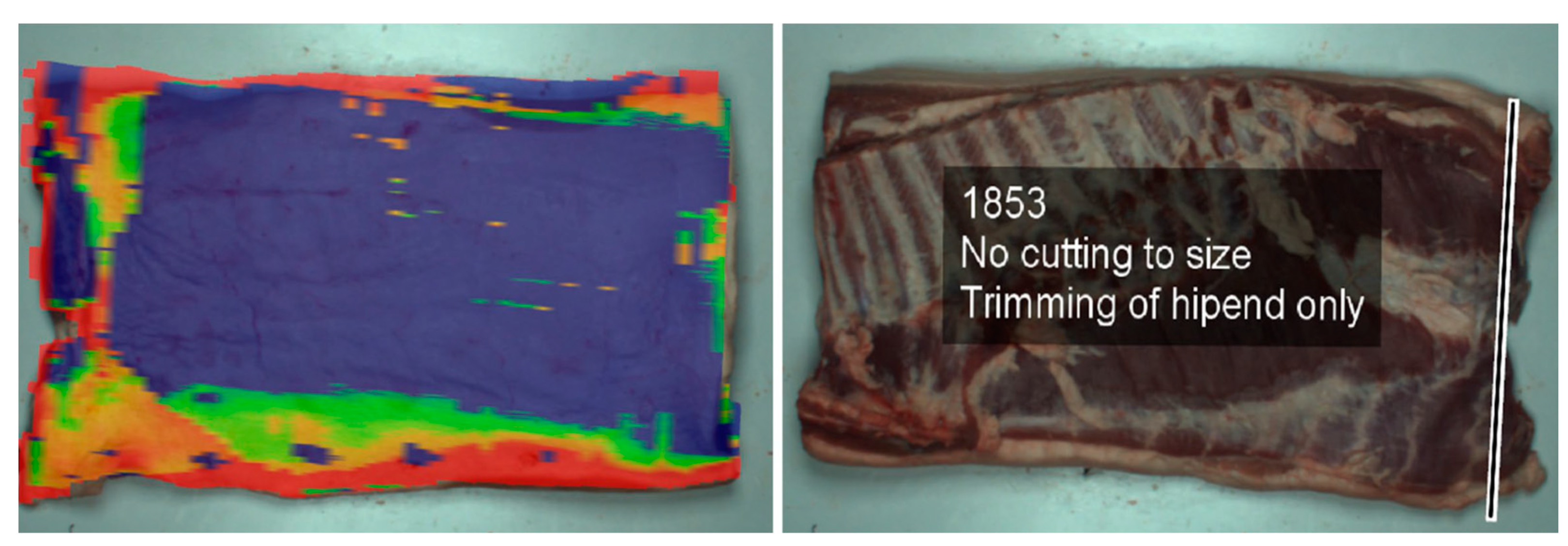 Animals 13 00651 g007