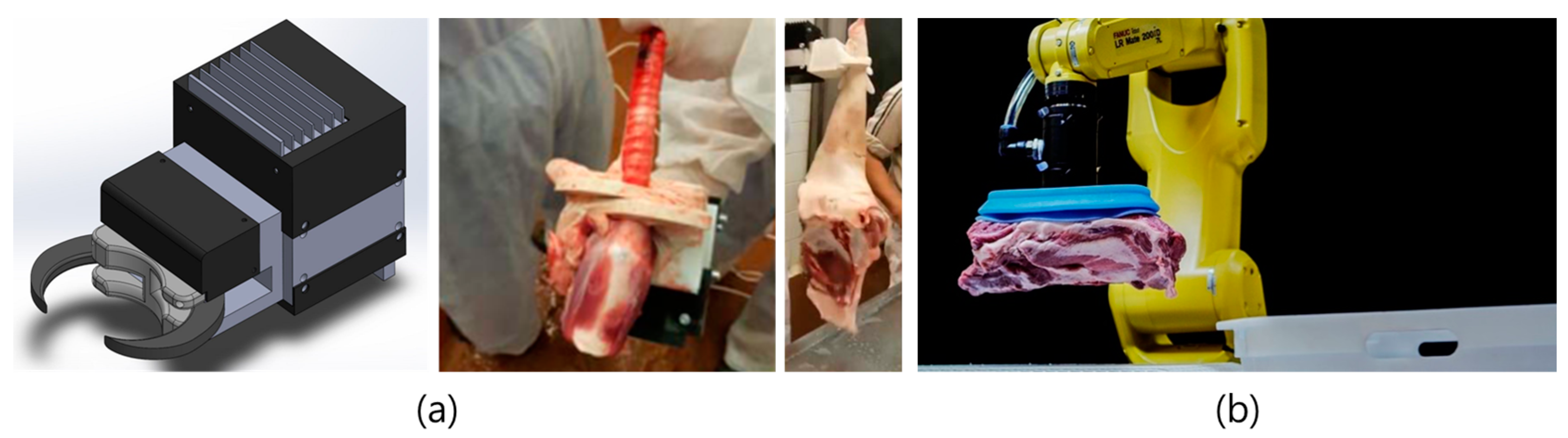 Animals 13 00651 g010