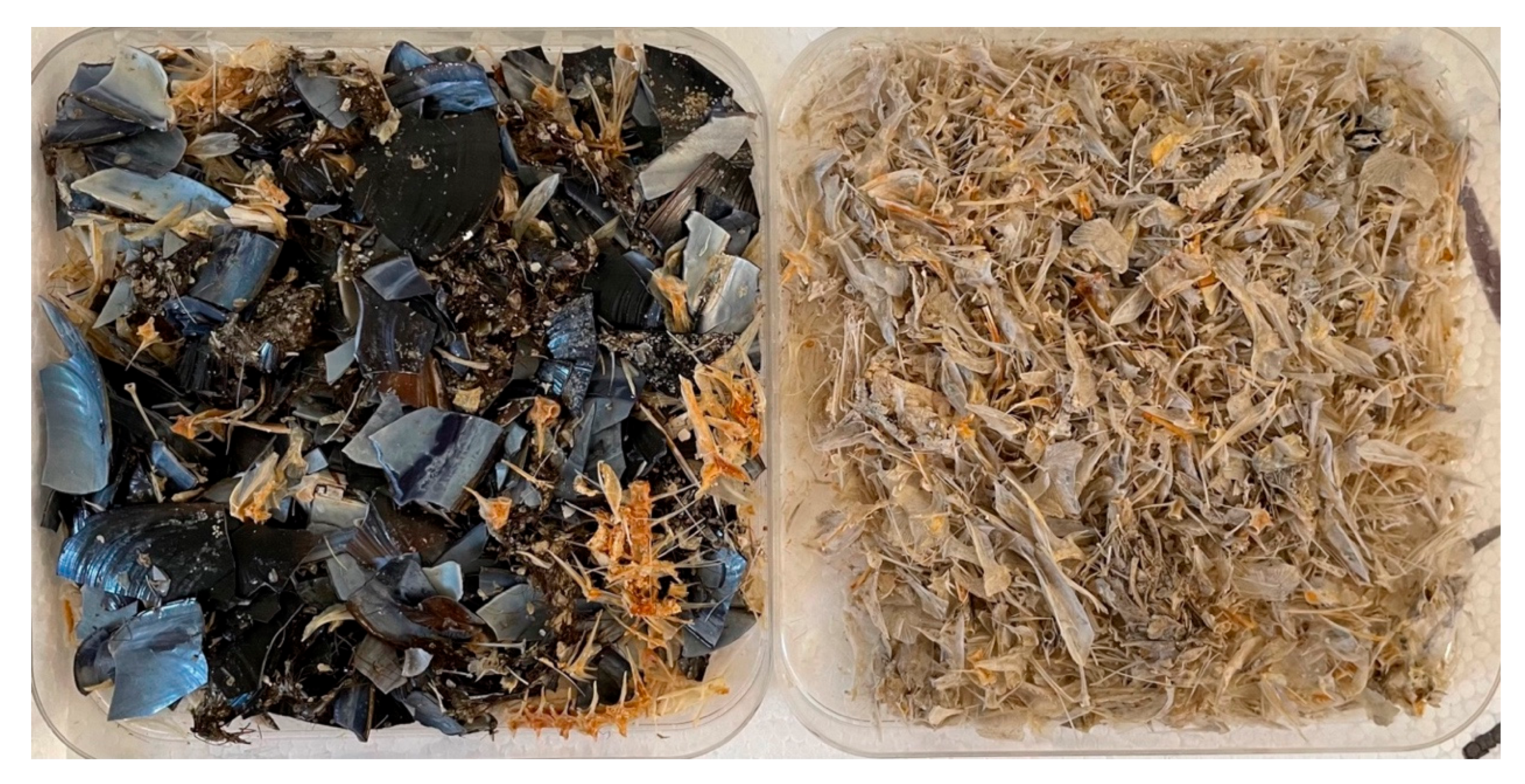 Animals 13 00654 g005