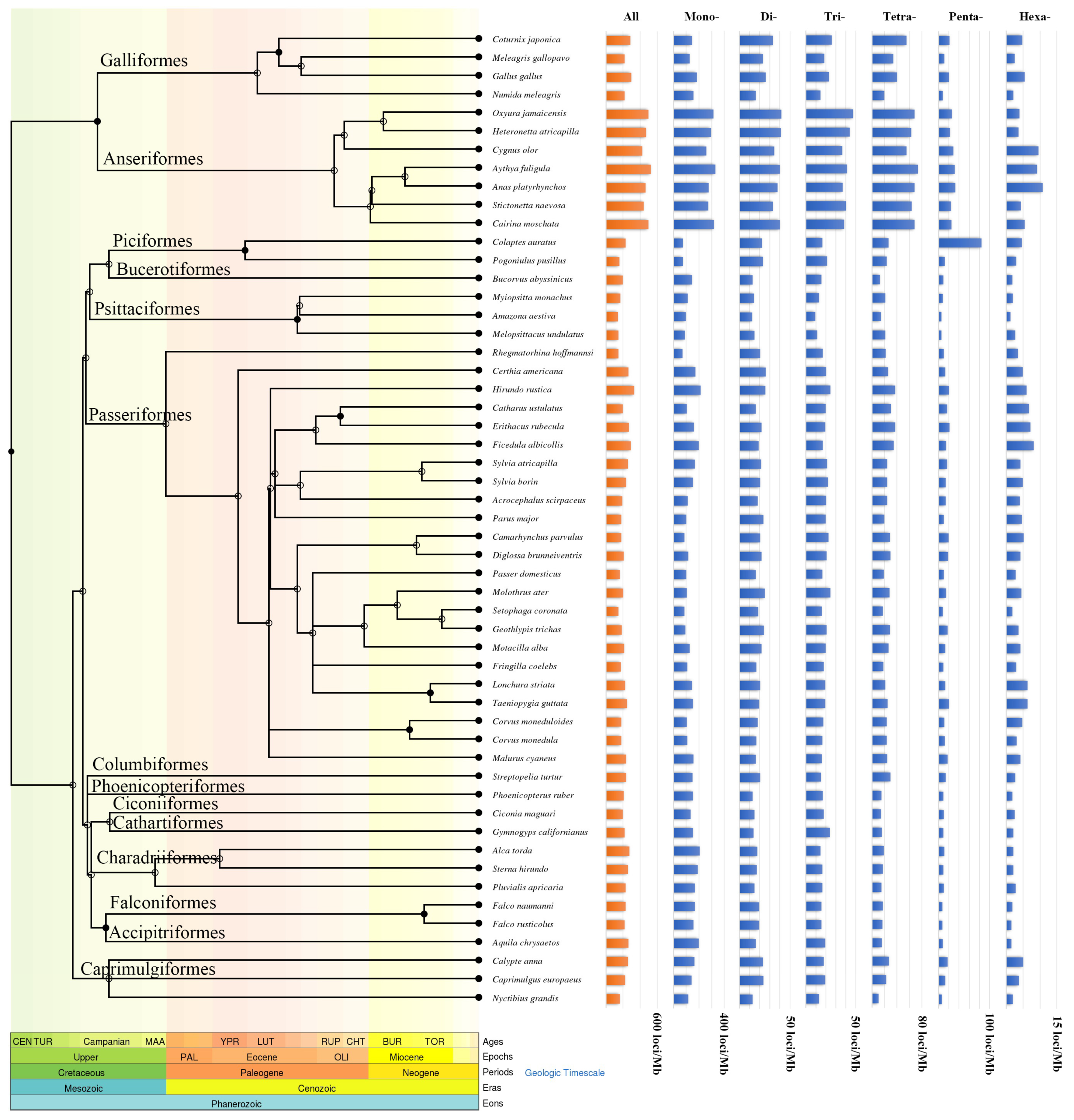 Animals 13 00655 g002