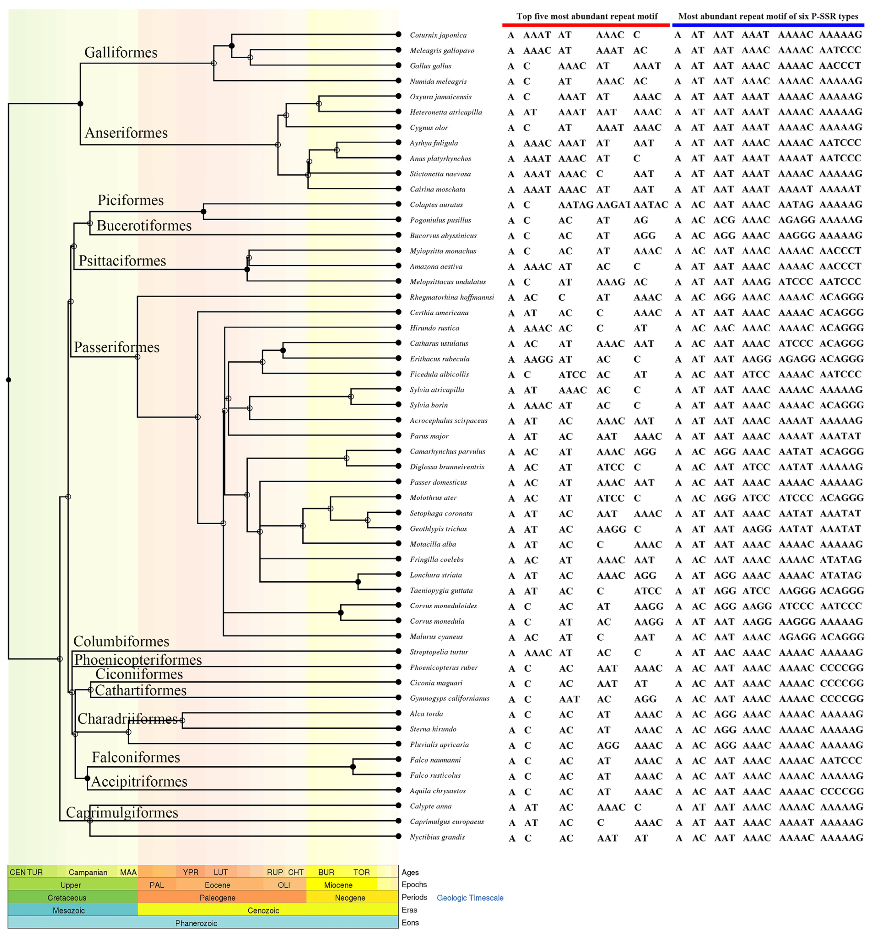 Animals 13 00655 g003