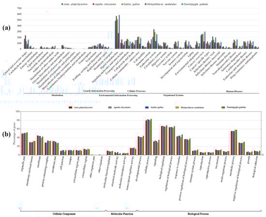 Animals 13 00655 g010