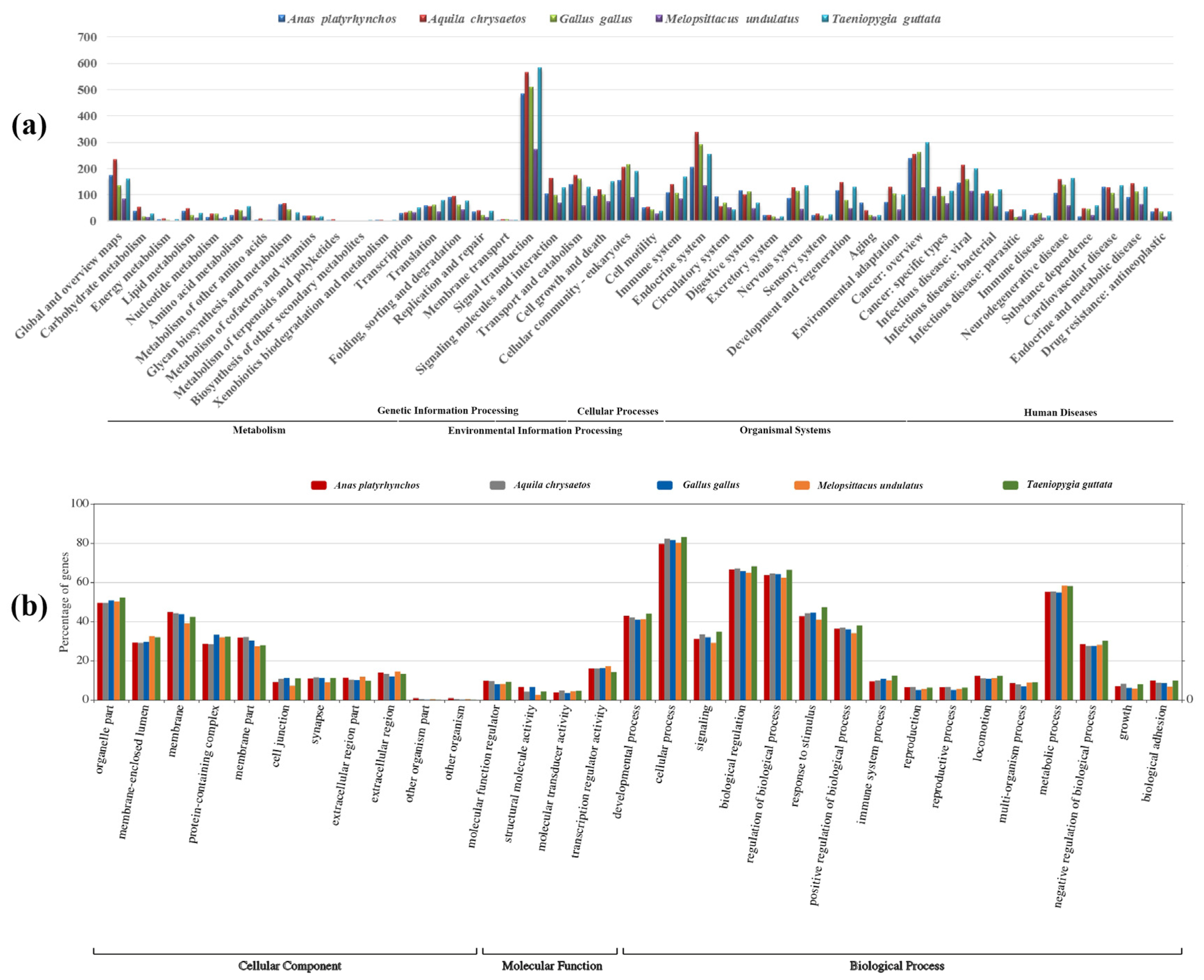 Animals 13 00655 g010