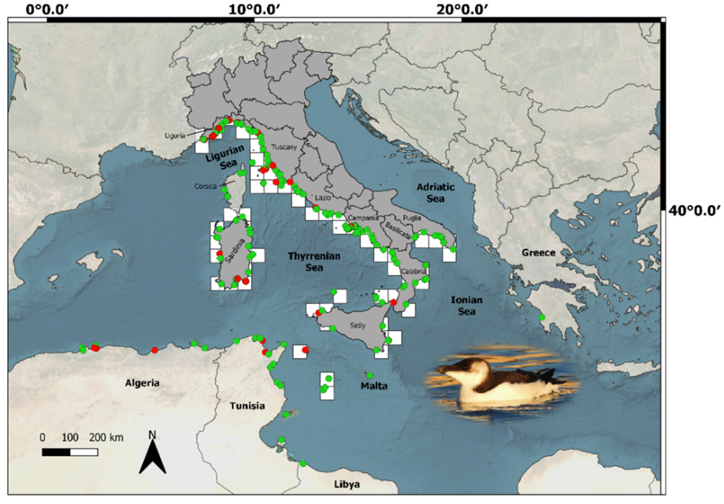 Animals 13 00656 g001 Animals 13 00656 g001