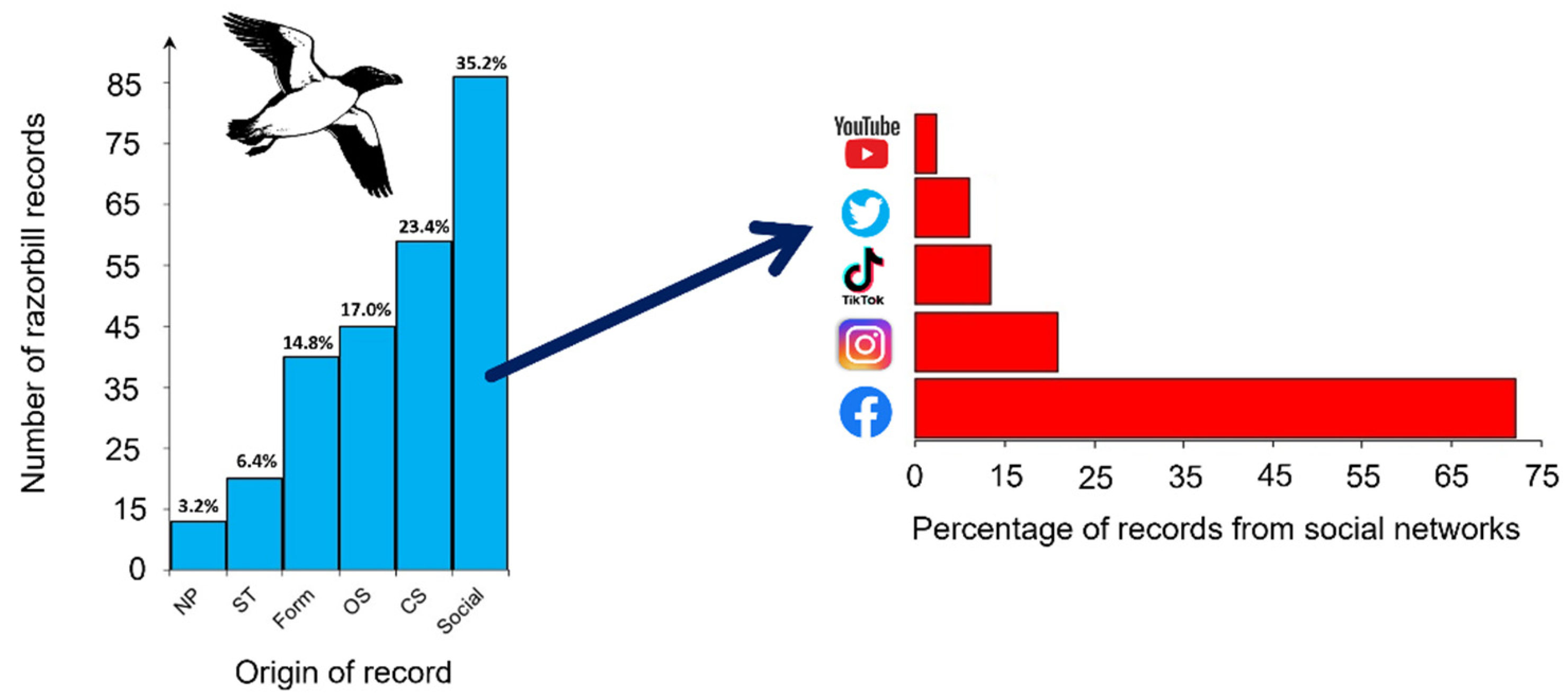 Animals 13 00656 g003 Animals 13 00656 g003