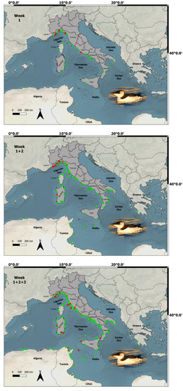 Animals 13 00656 g0a1