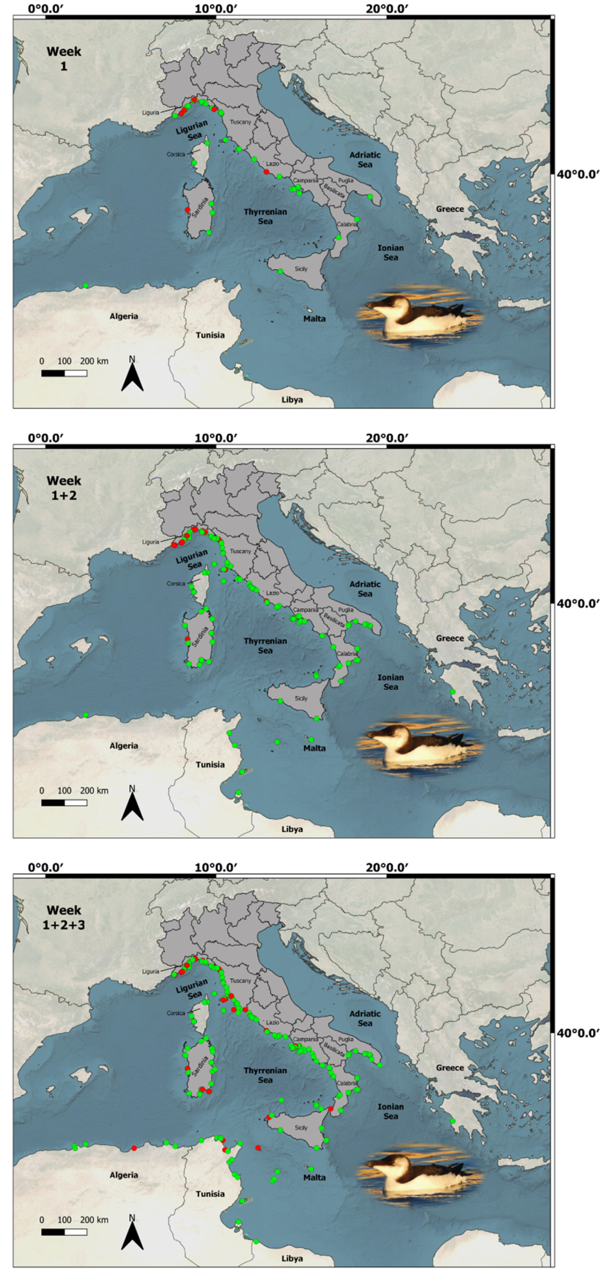 Animals 13 00656 g0a1 Animals 13 00656 g0a1