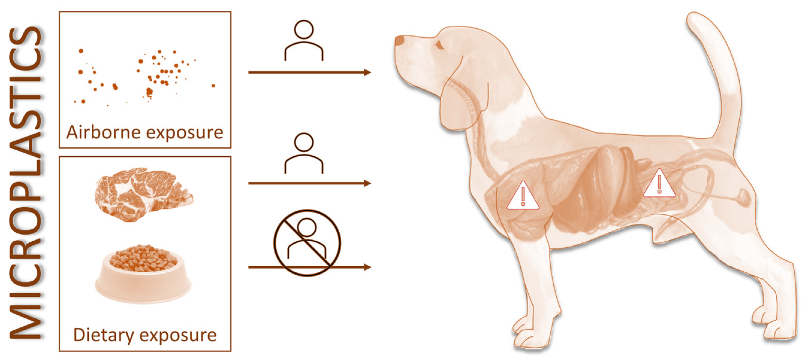 Animals 13 00661 g001