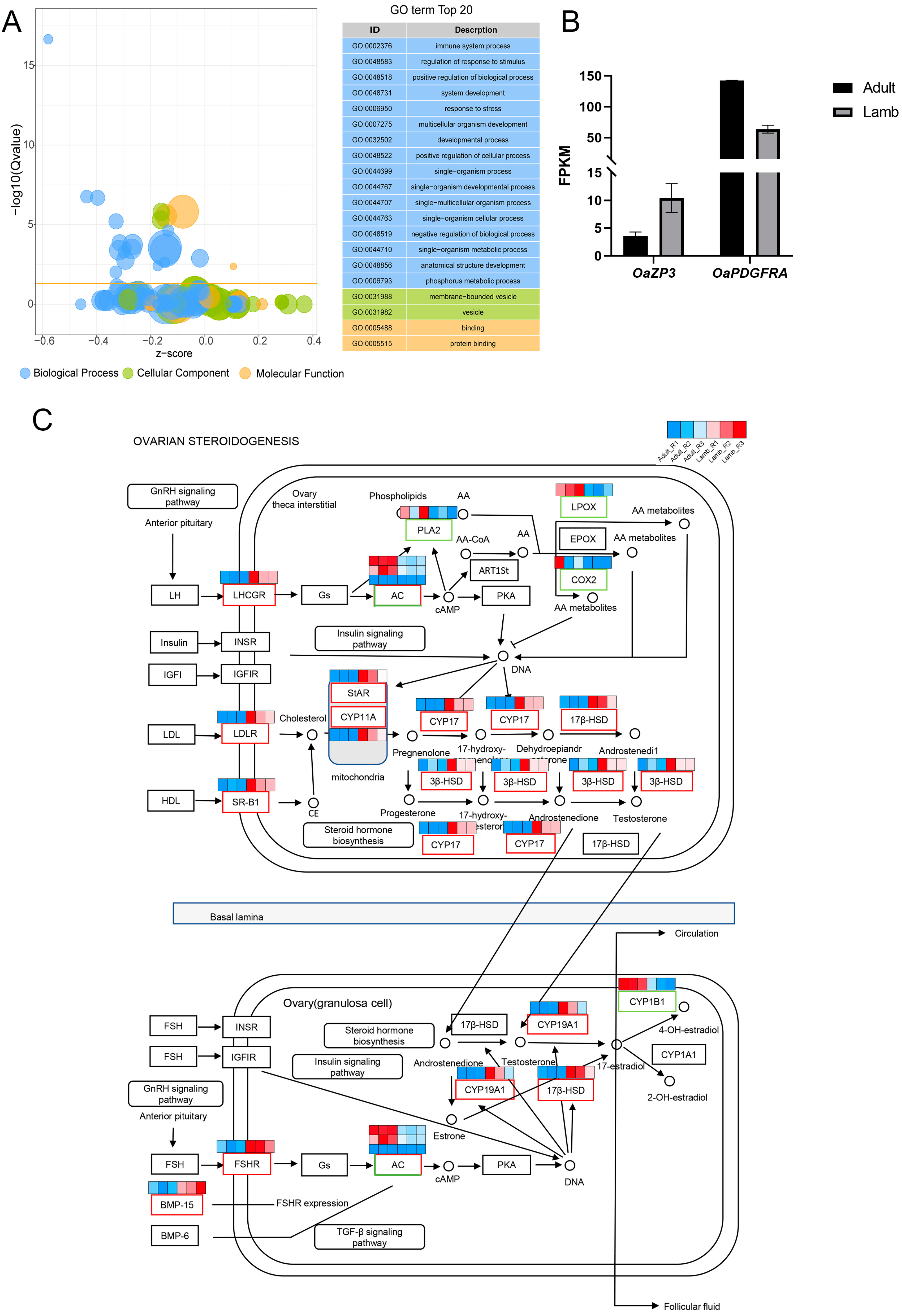 Animals 13 00665 g002 Animals 13 00665 g002