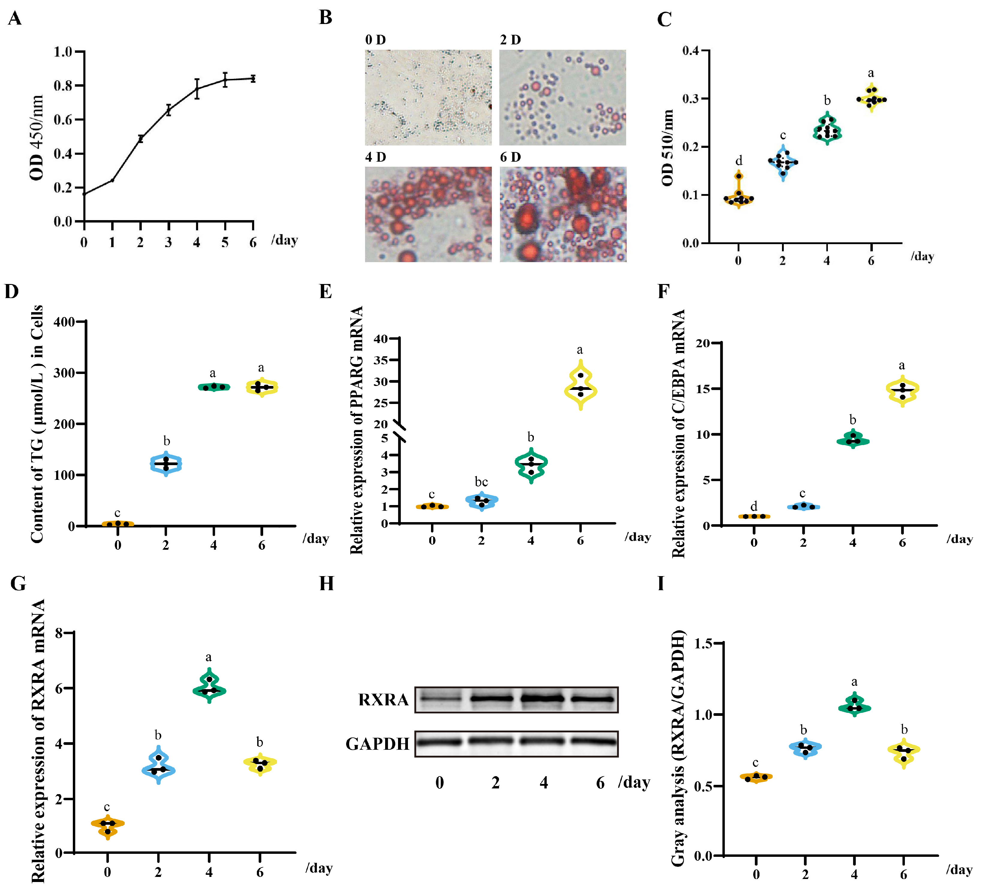 Animals 13 00680 g001