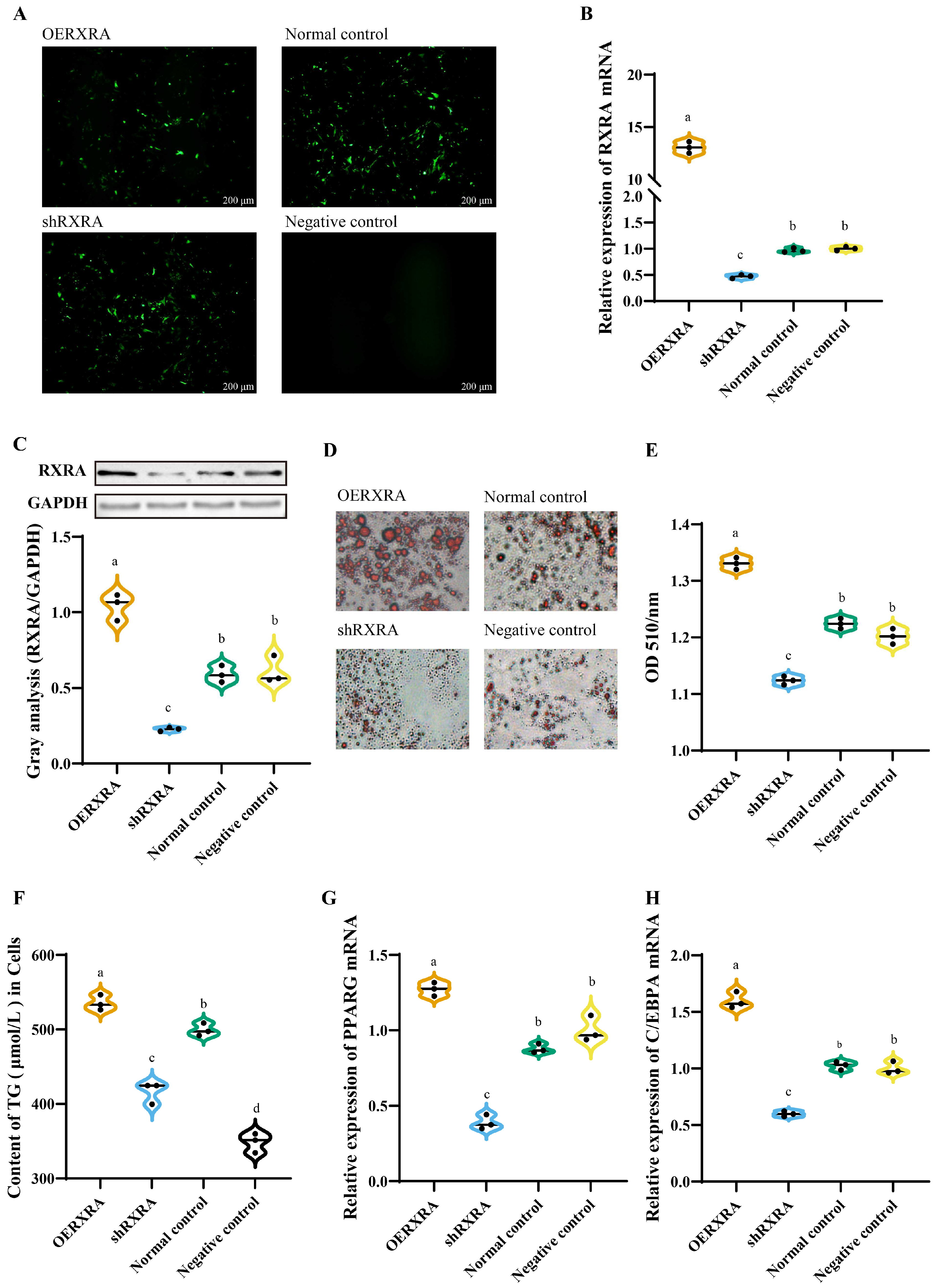 Animals 13 00680 g002