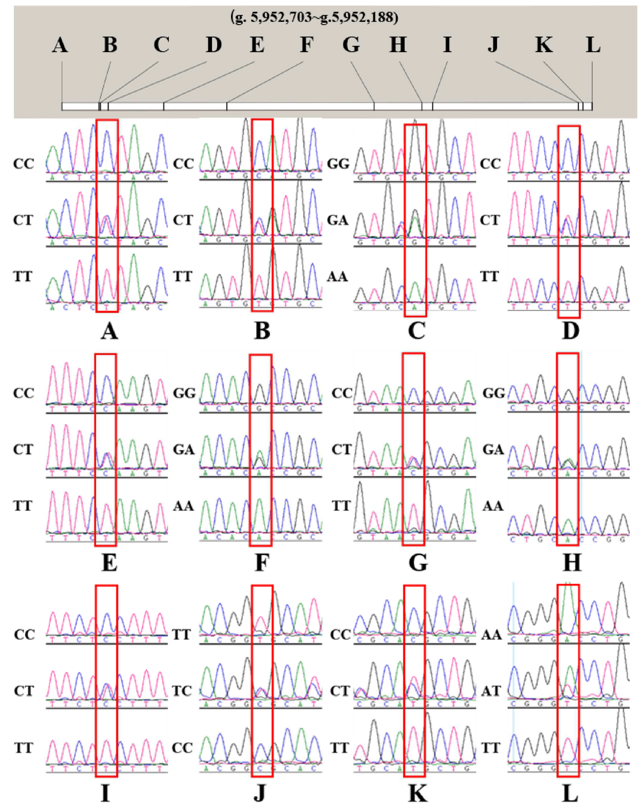 Animals 13 00680 g003