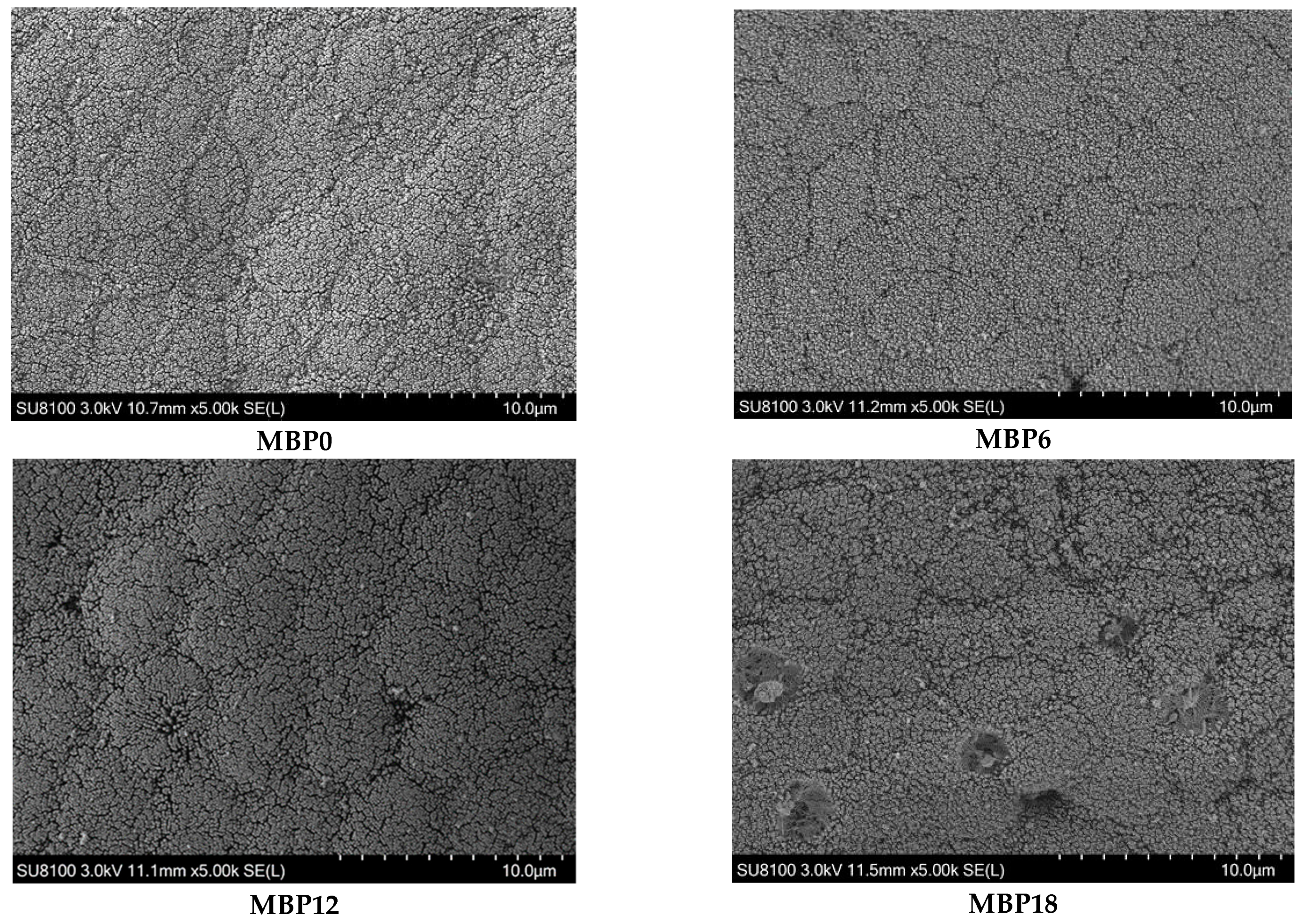 Animals 13 00681 g002