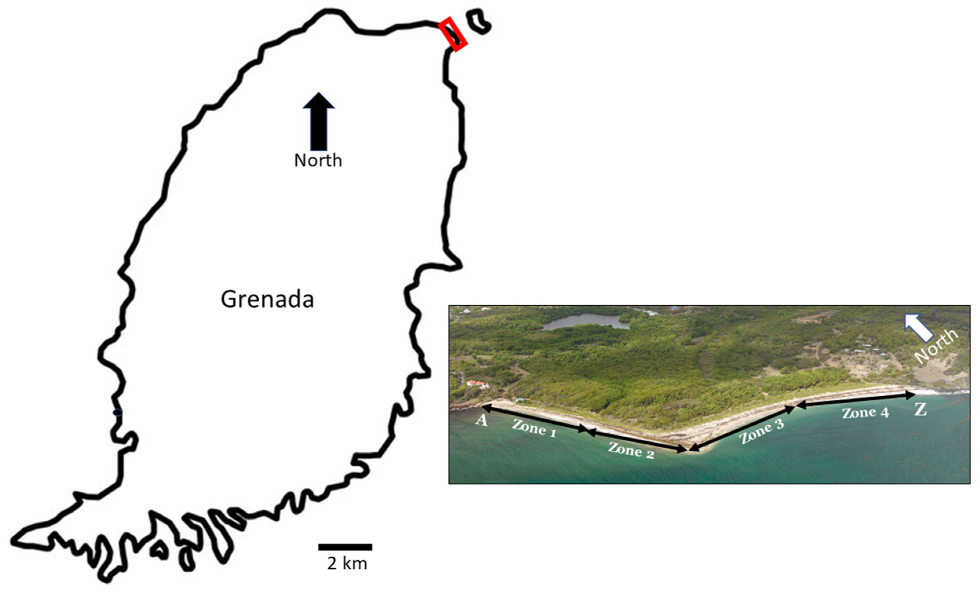 Animals 13 00685 g001