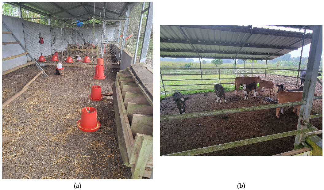 Animals 13 00686 g002