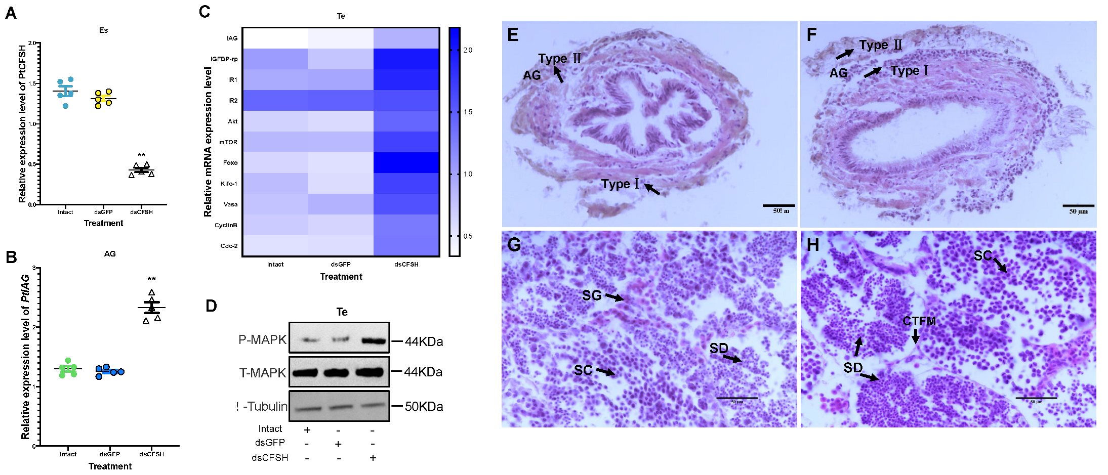 Animals 13 00690 g003