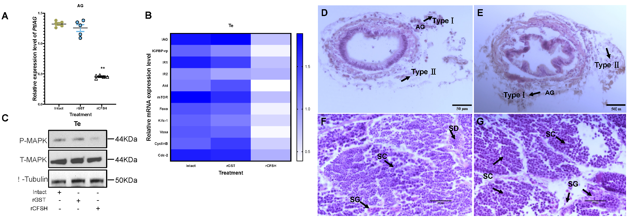 Animals 13 00690 g004
